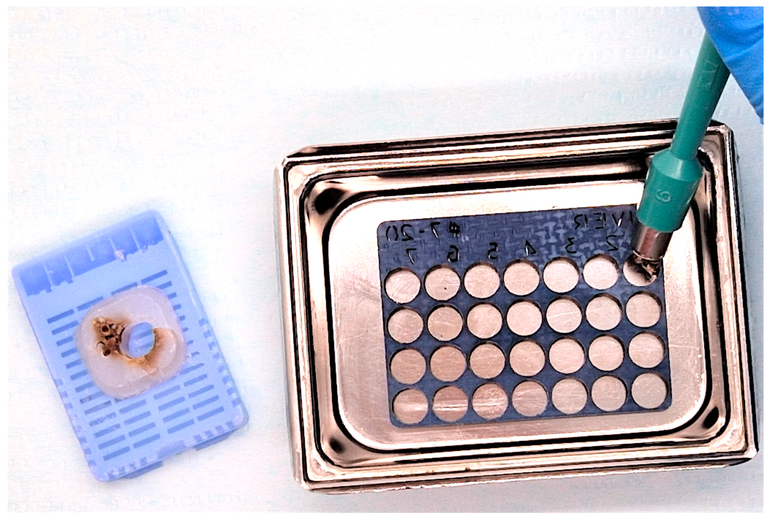 Vetsci 10 00280 g002 Vetsci 10 00280 g002