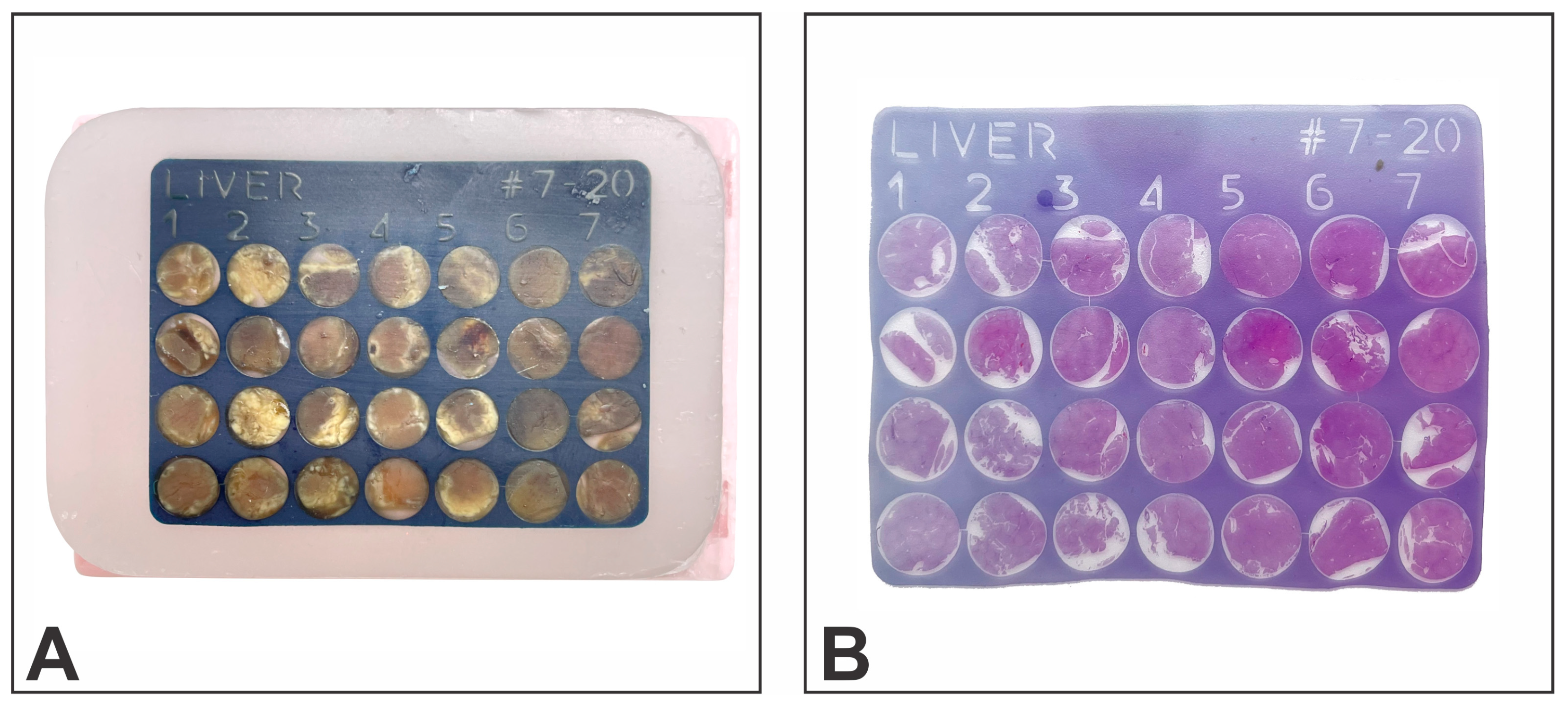 Vetsci 10 00280 g003 Vetsci 10 00280 g003
