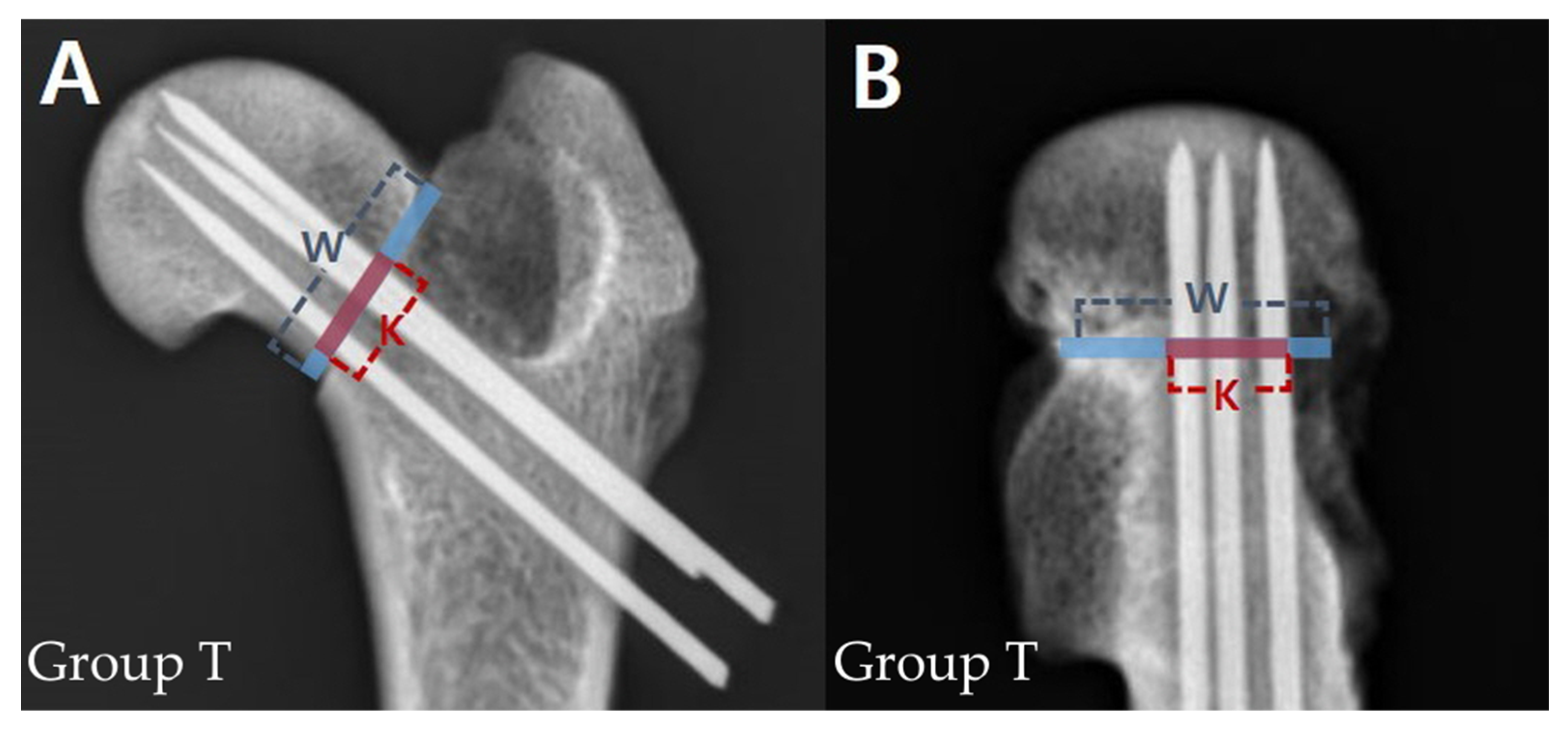 Vetsci 10 00285 g002