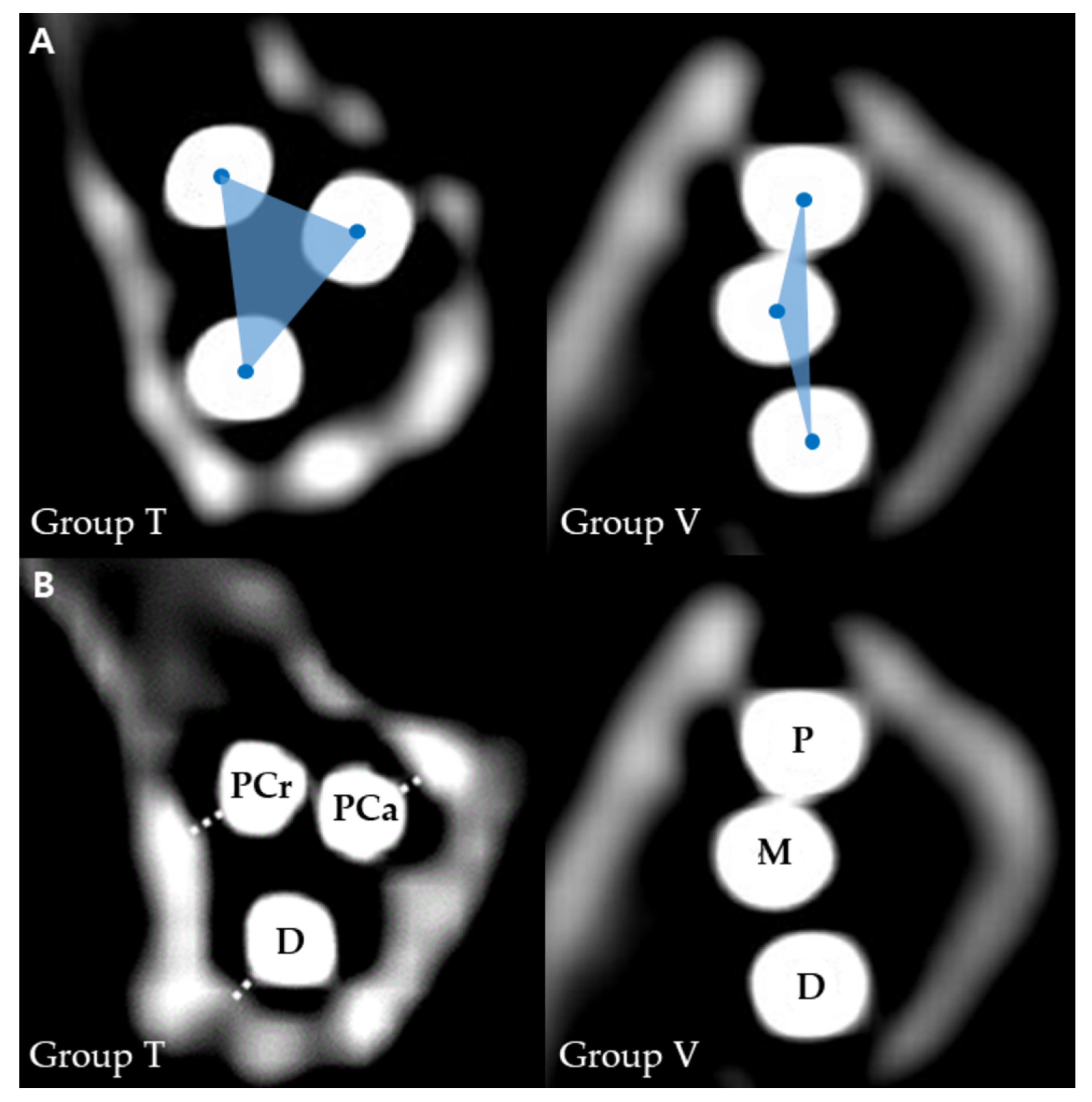 Vetsci 10 00285 g003