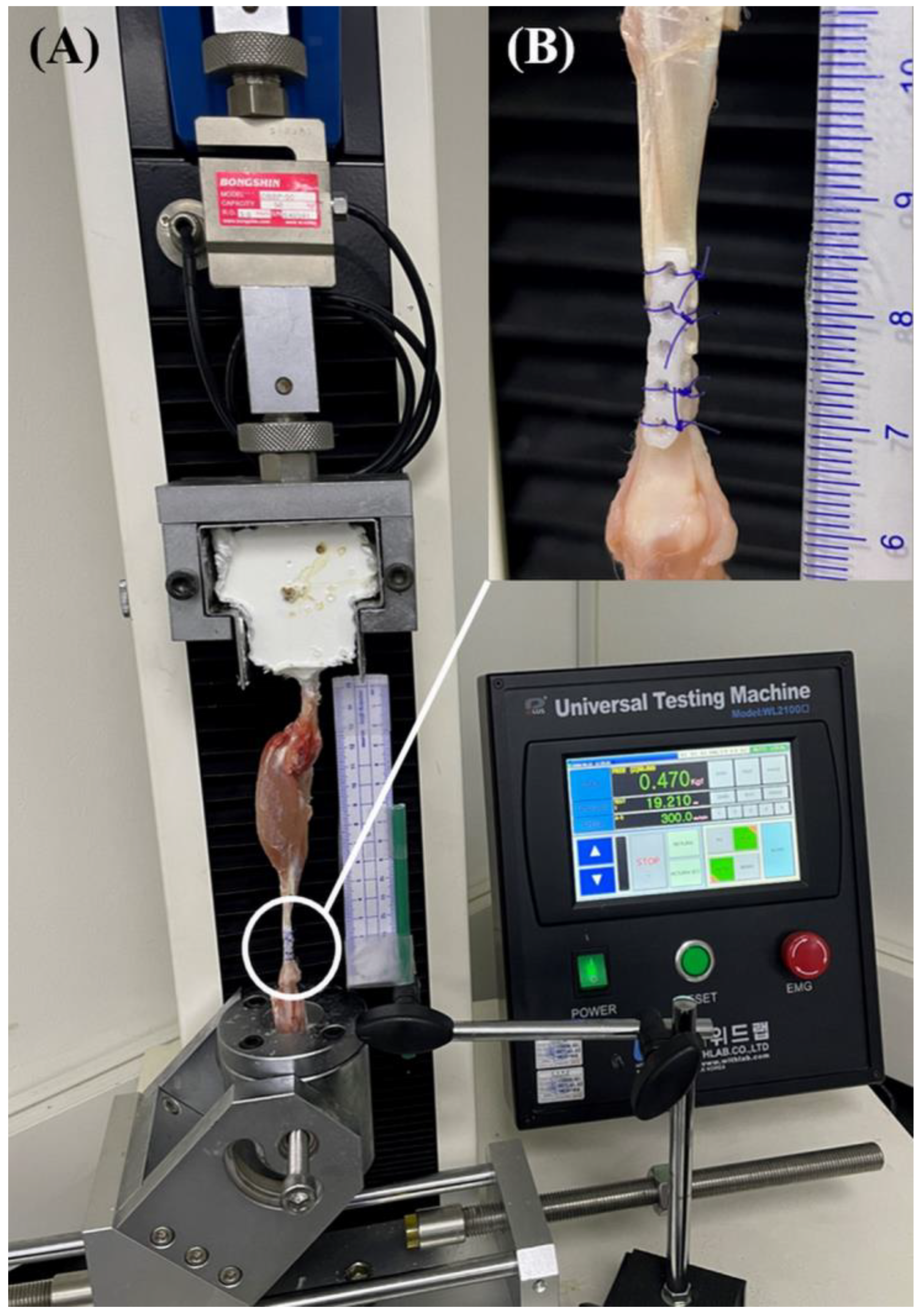 Vetsci 10 00289 g003 Vetsci 10 00289 g003