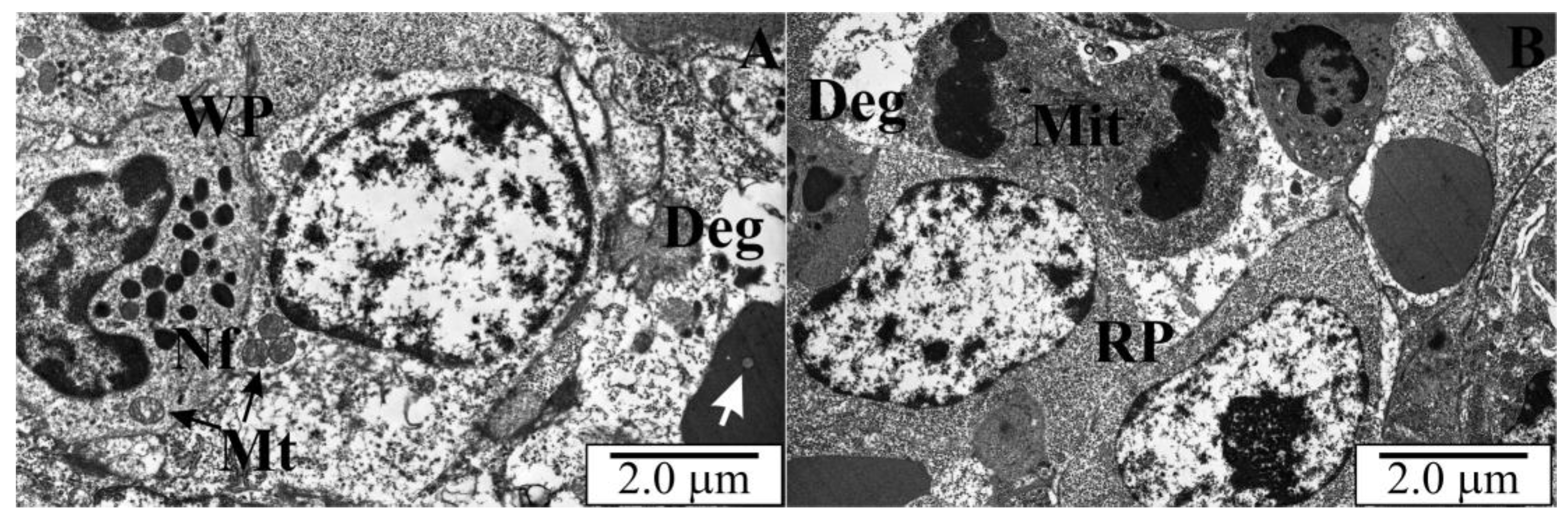 Vetsci 10 00291 g011 Vetsci 10 00291 g011