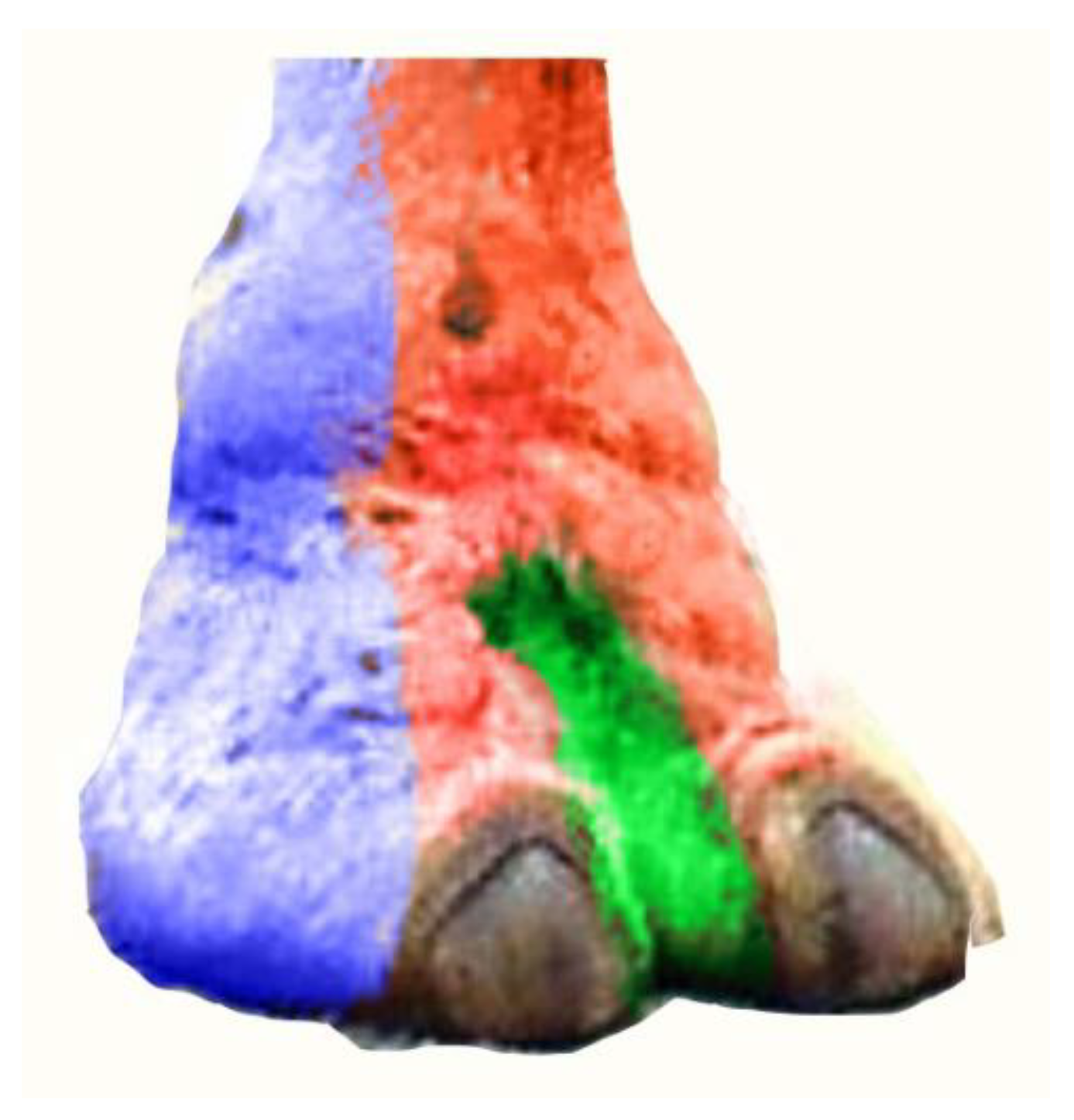 Vetsci 10 00305 g010