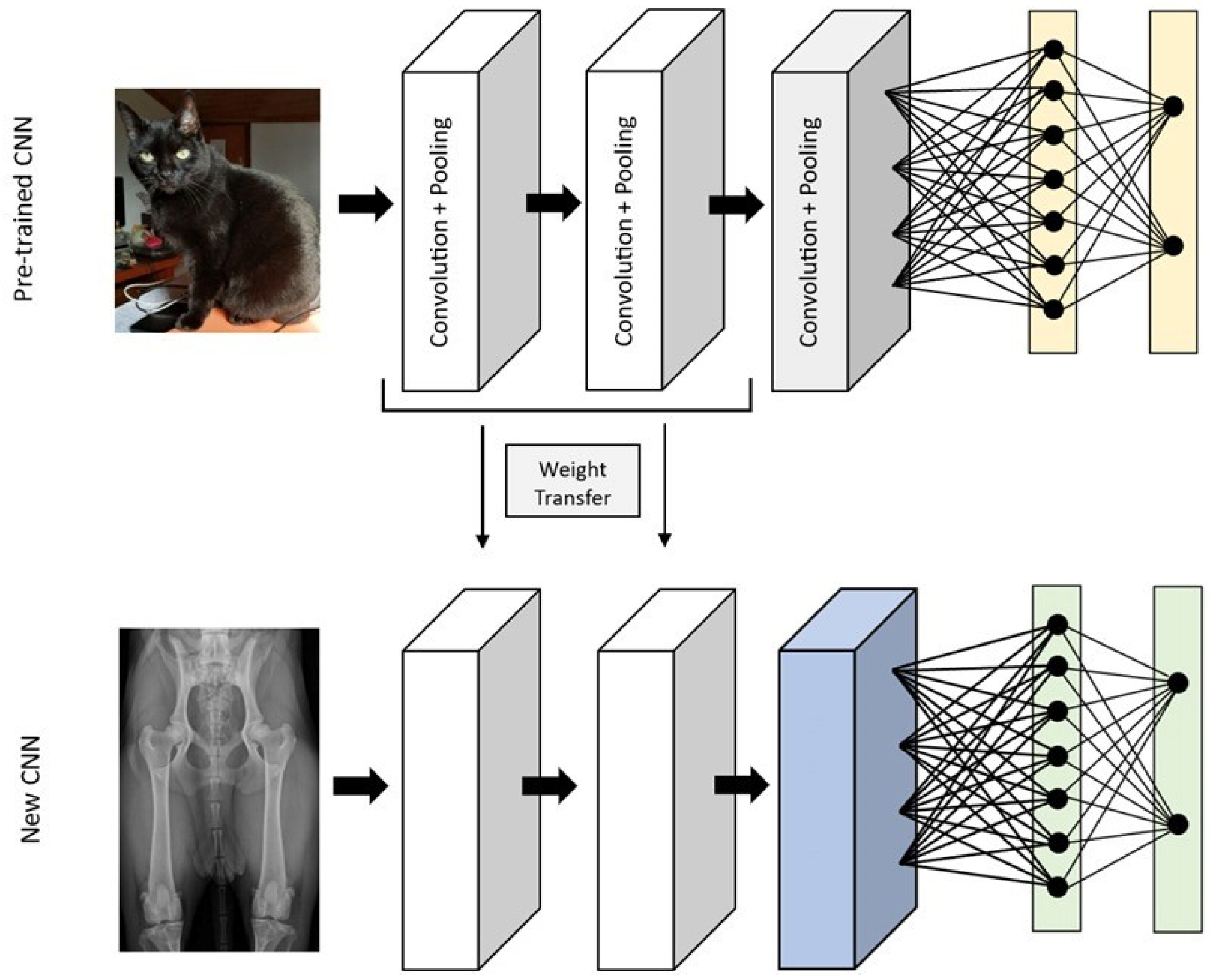 Vetsci 10 00320 g004 Vetsci 10 00320 g004