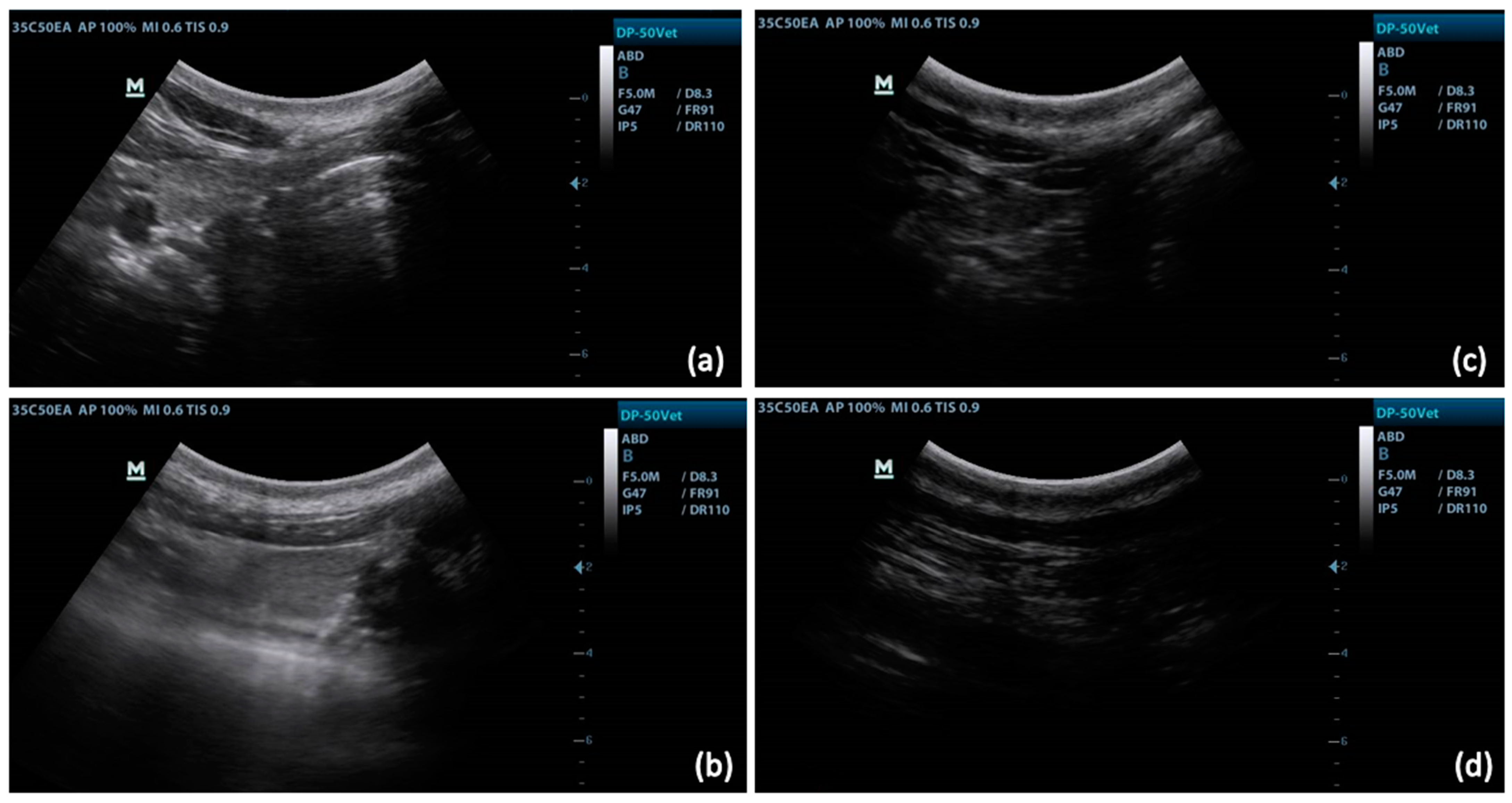 Vetsci 10 00322 g002