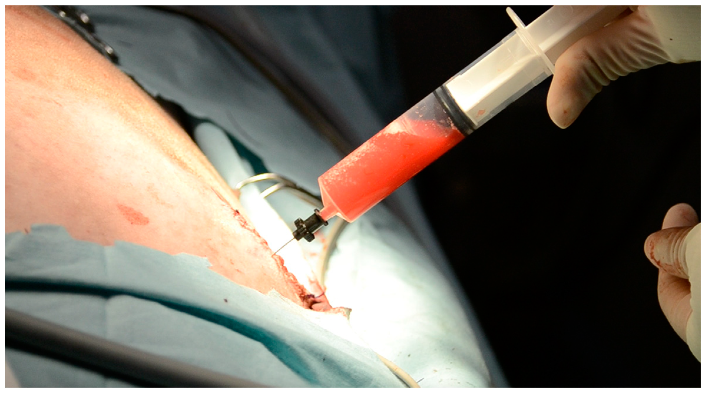 Vetsci 10 00324 g003