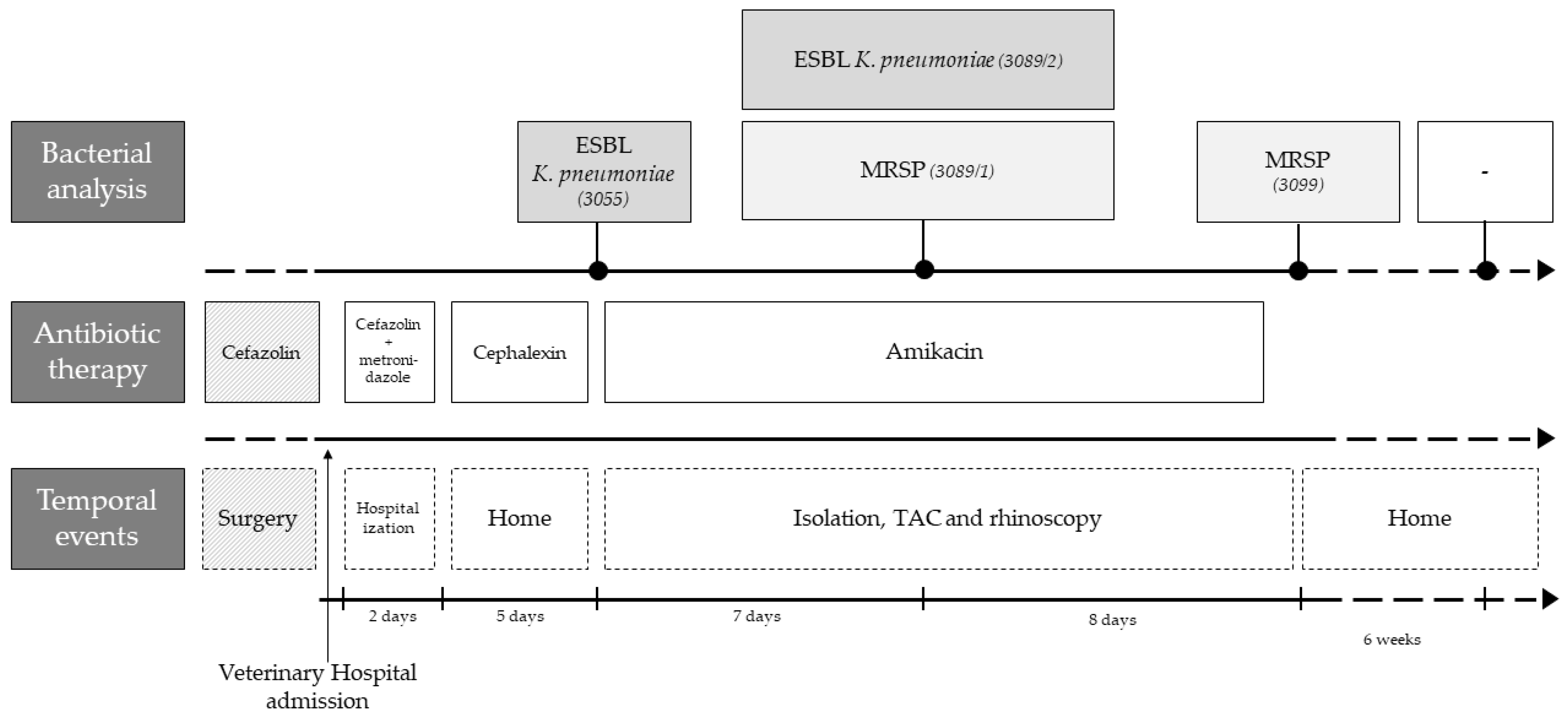 Vetsci 10 00326 g001 Vetsci 10 00326 g001
