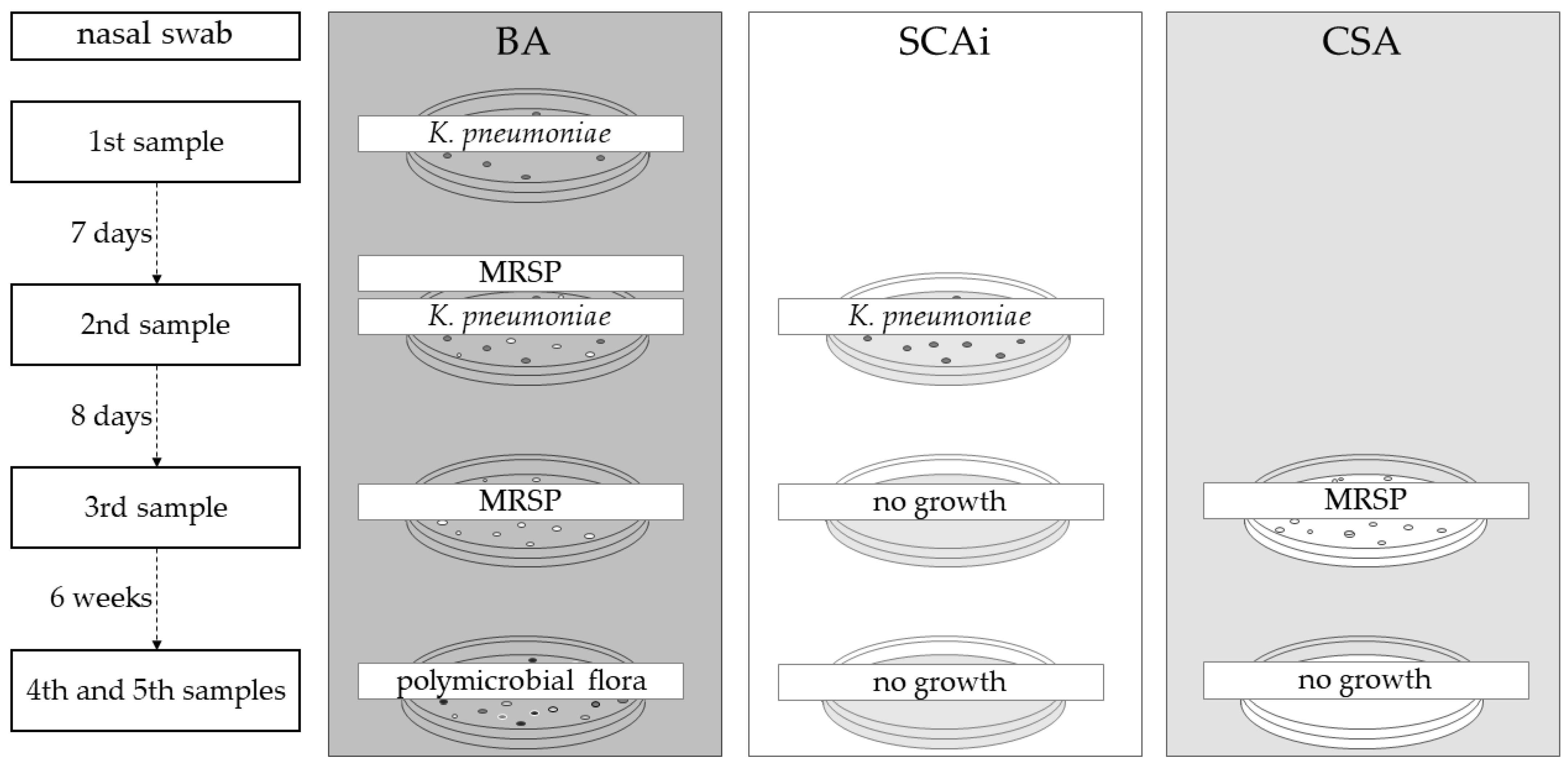 Vetsci 10 00326 g002 Vetsci 10 00326 g002