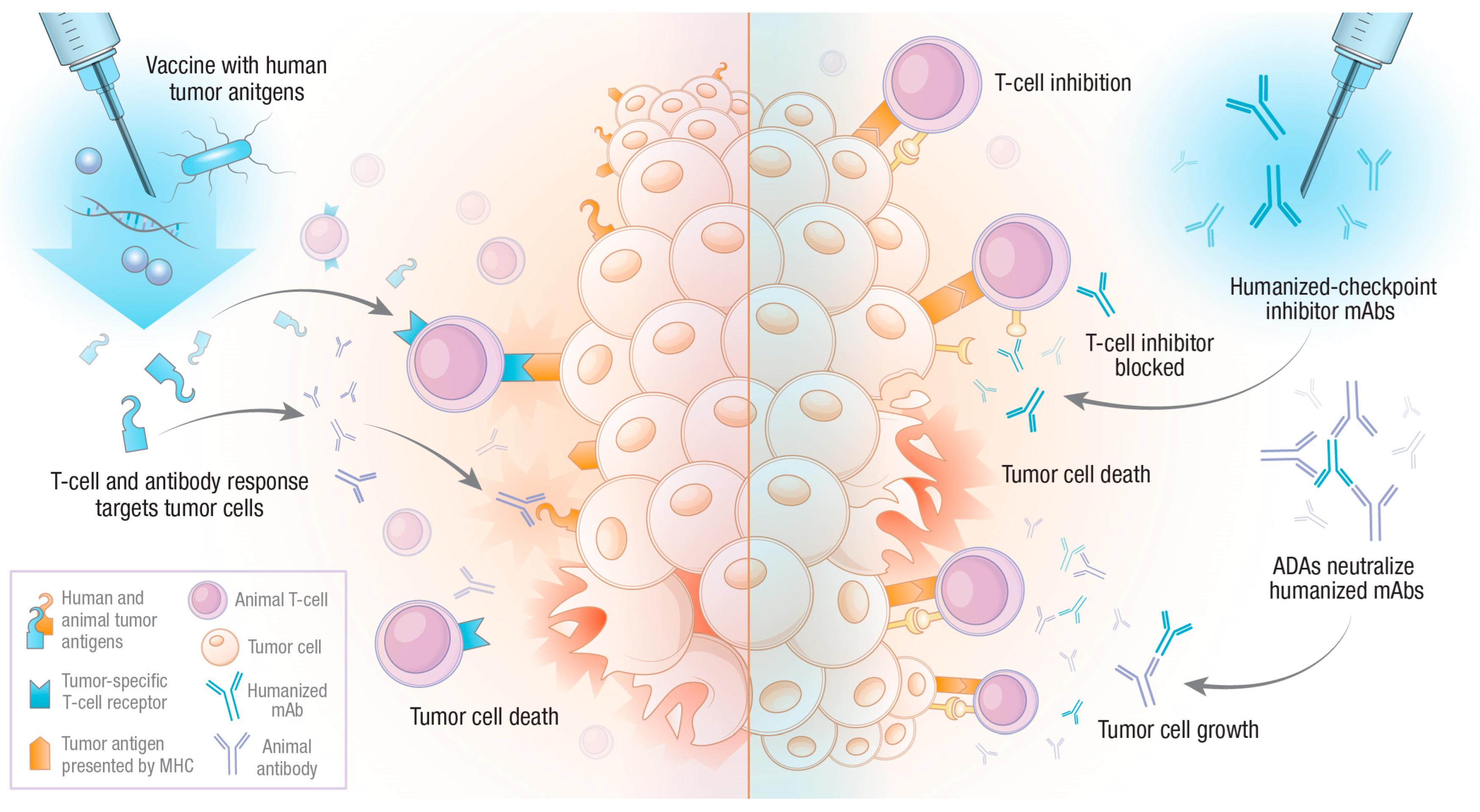 Vetsci 10 00336 g001