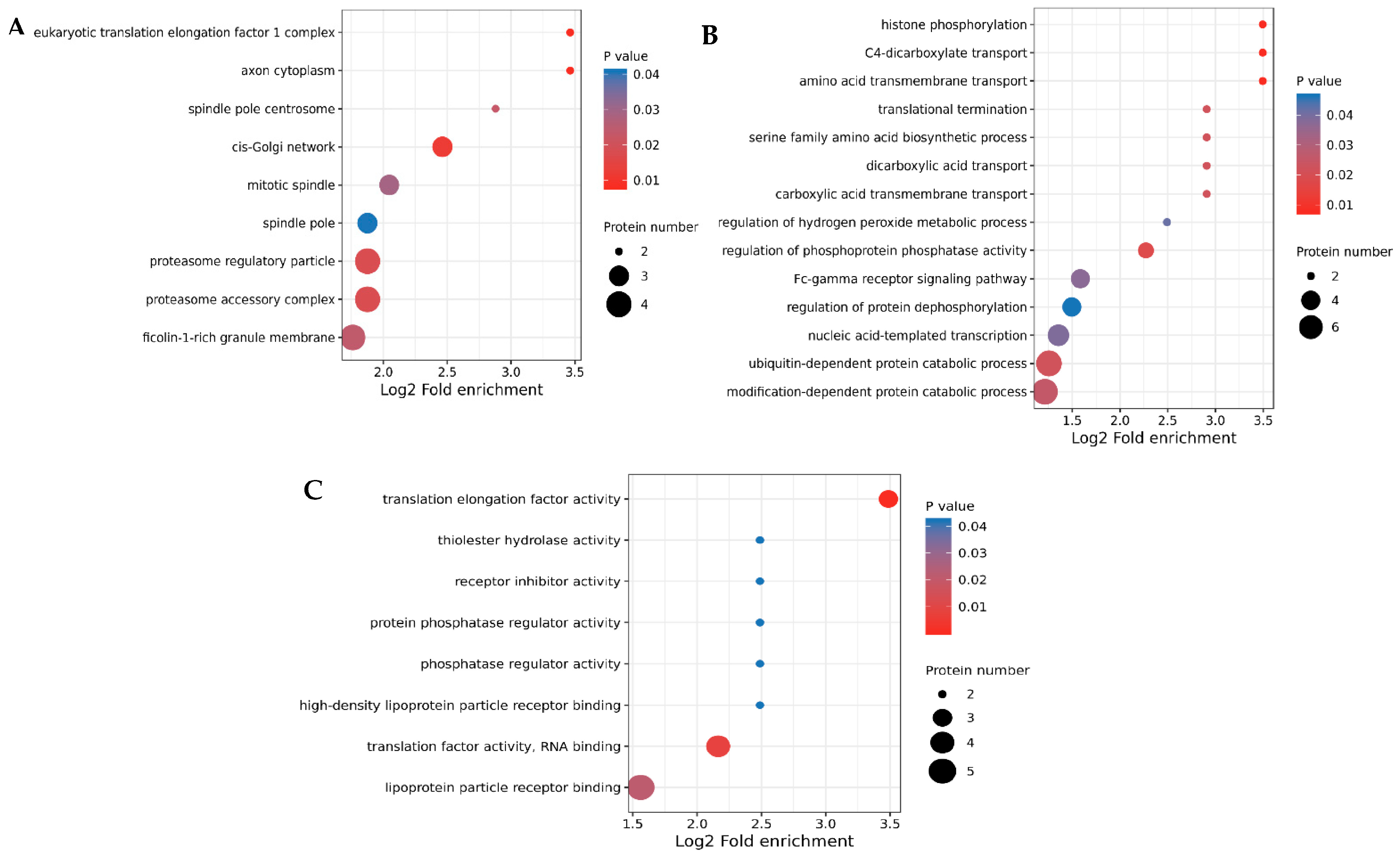 Vetsci 10 00338 g004