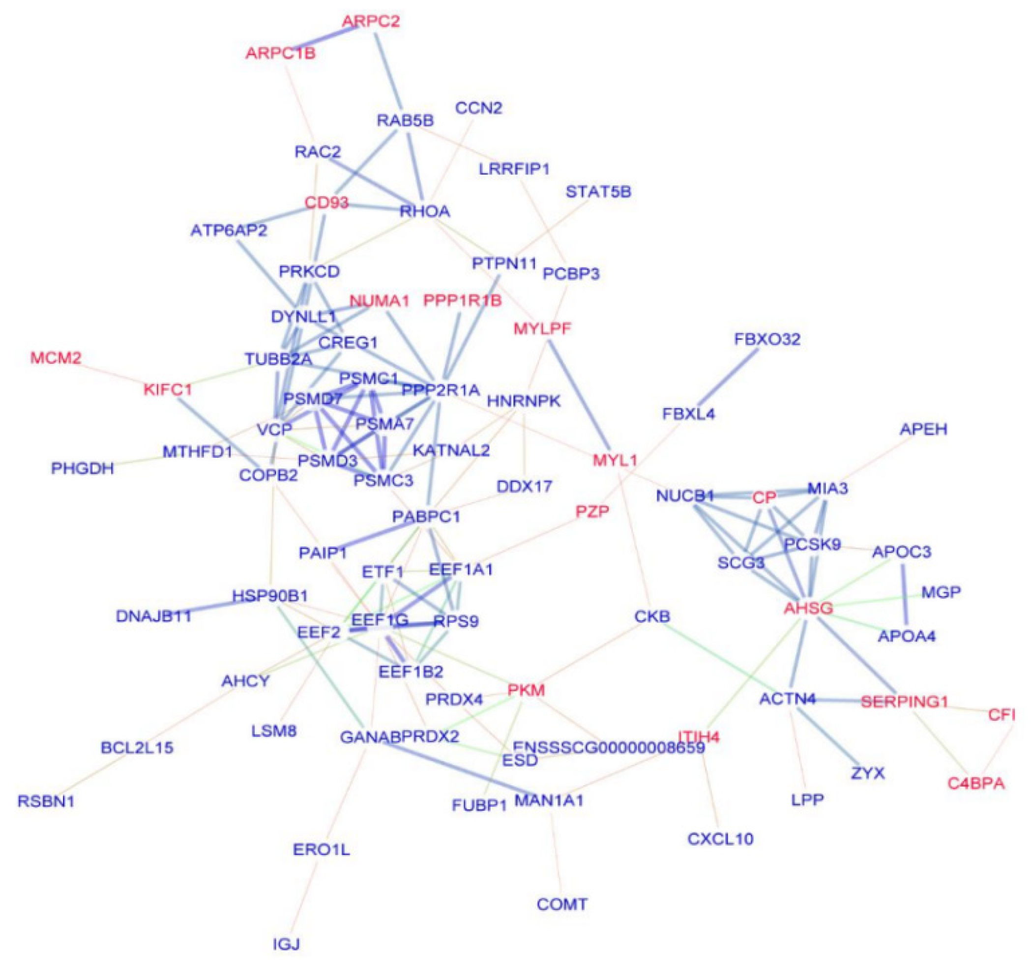 Vetsci 10 00338 g006