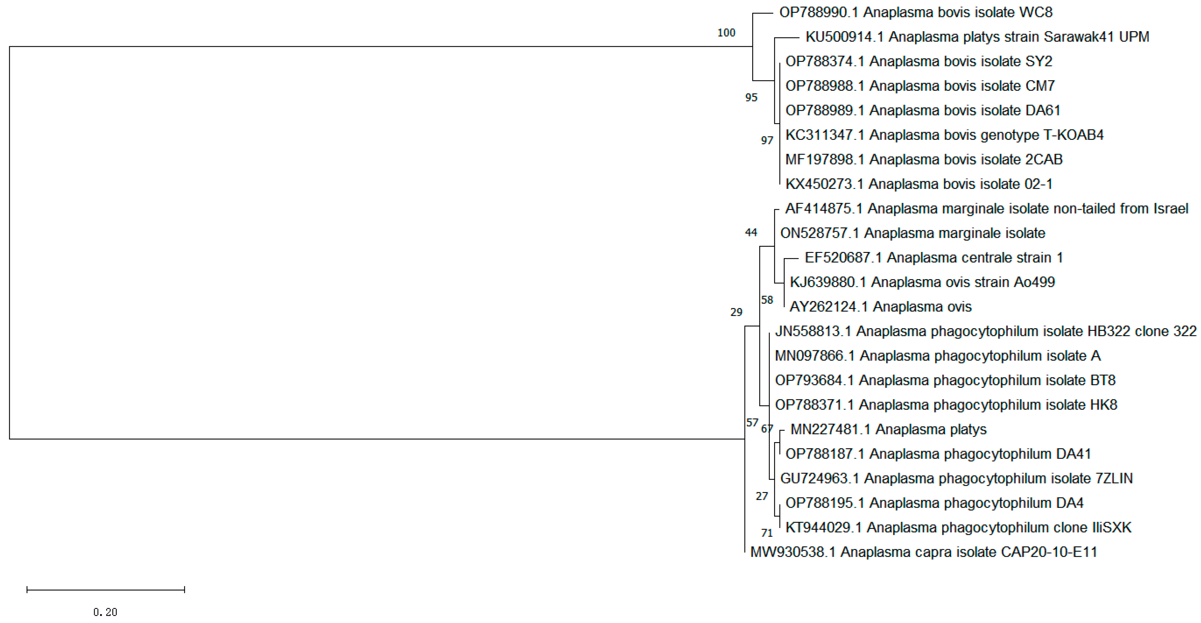 Vetsci 10 00339 g002