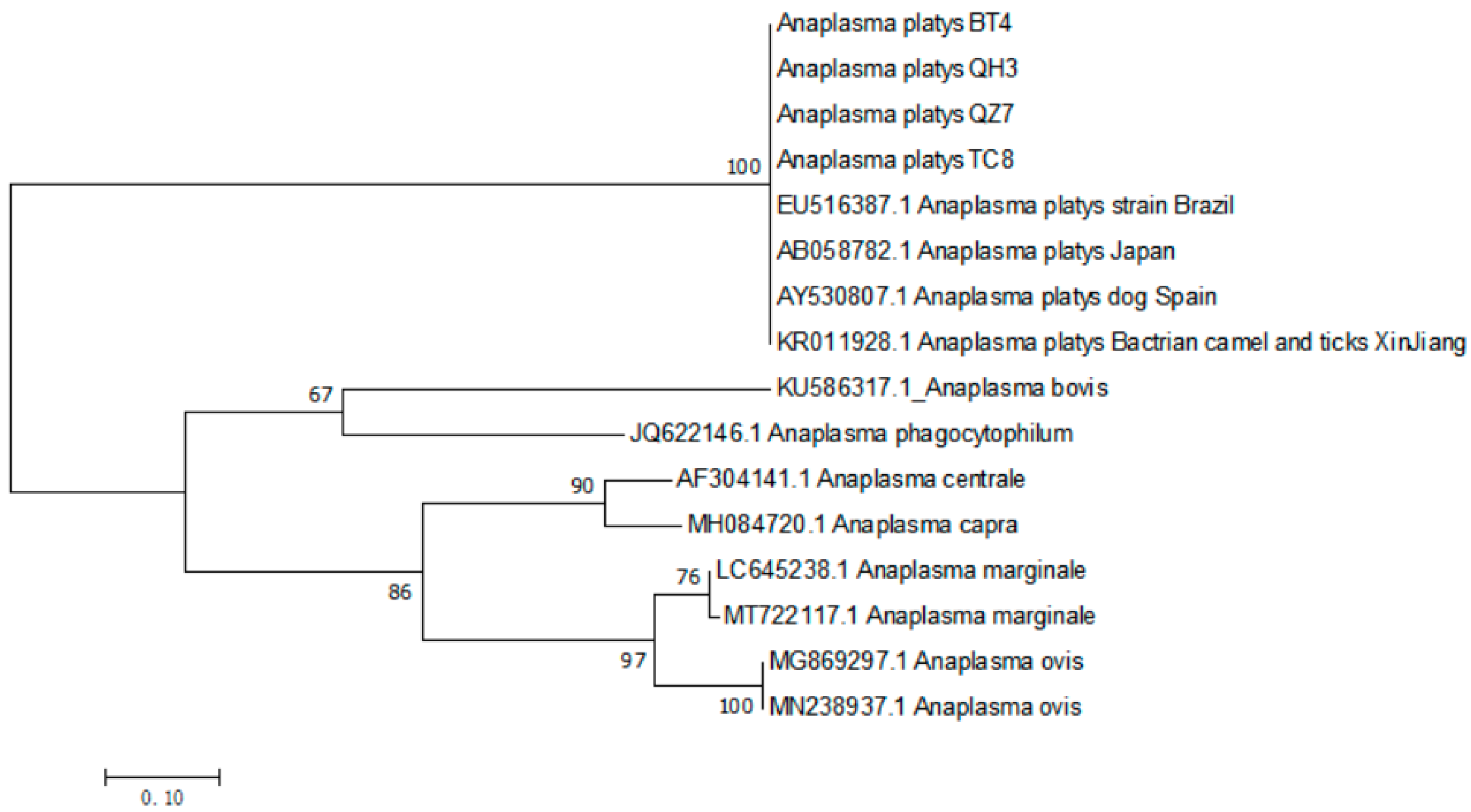 Vetsci 10 00339 g003