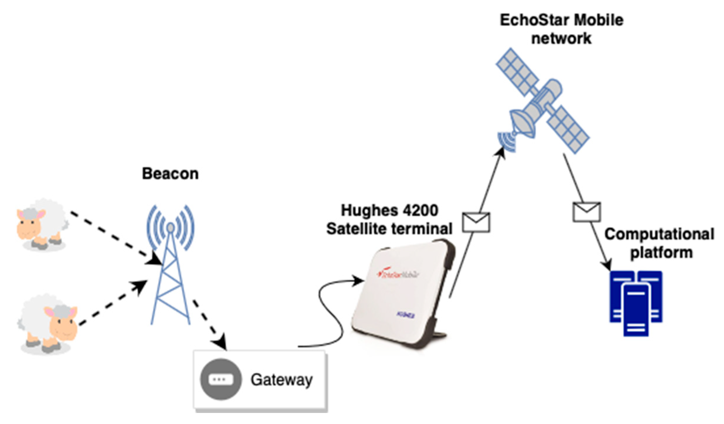 Vetsci 10 00340 g001