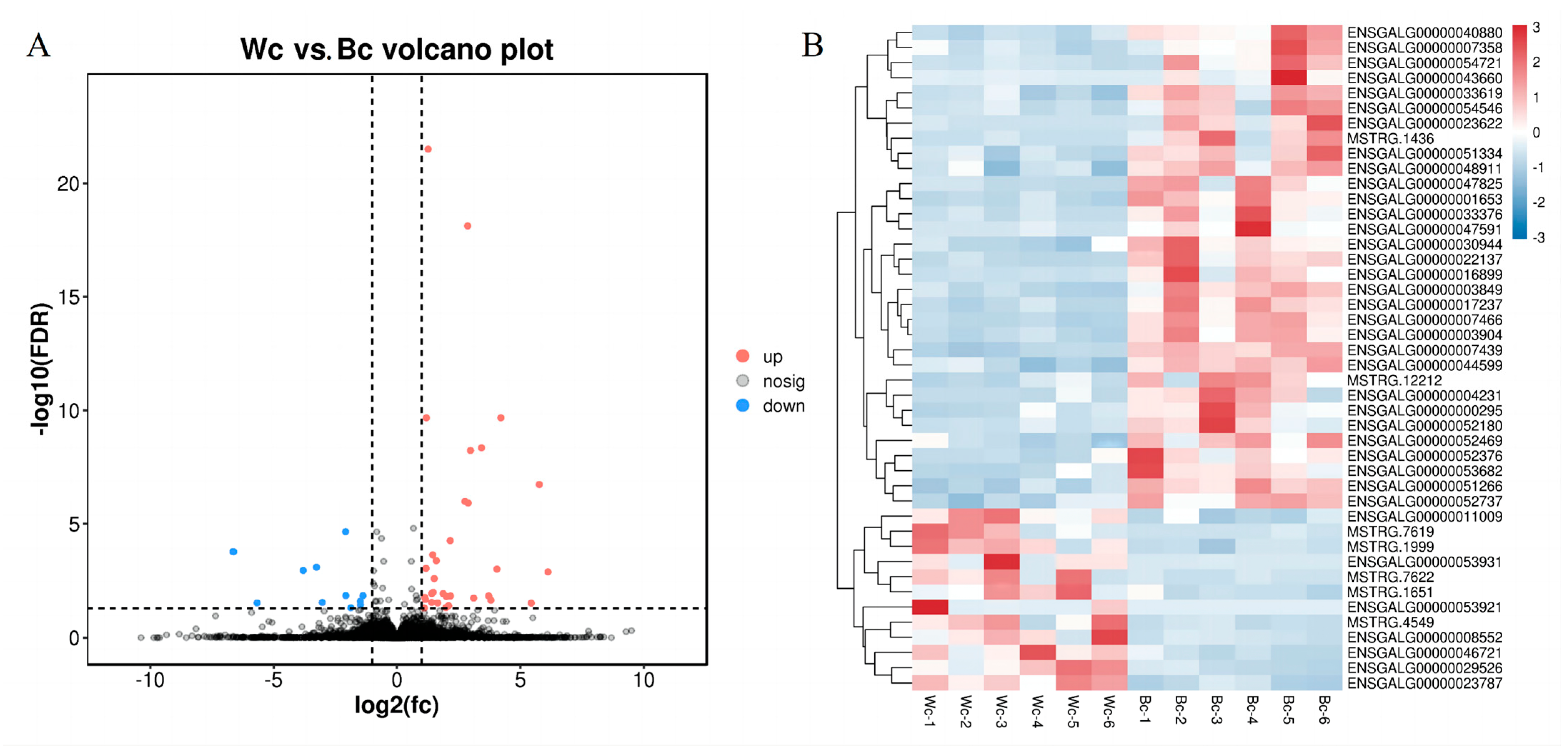 Vetsci 10 00341 g003