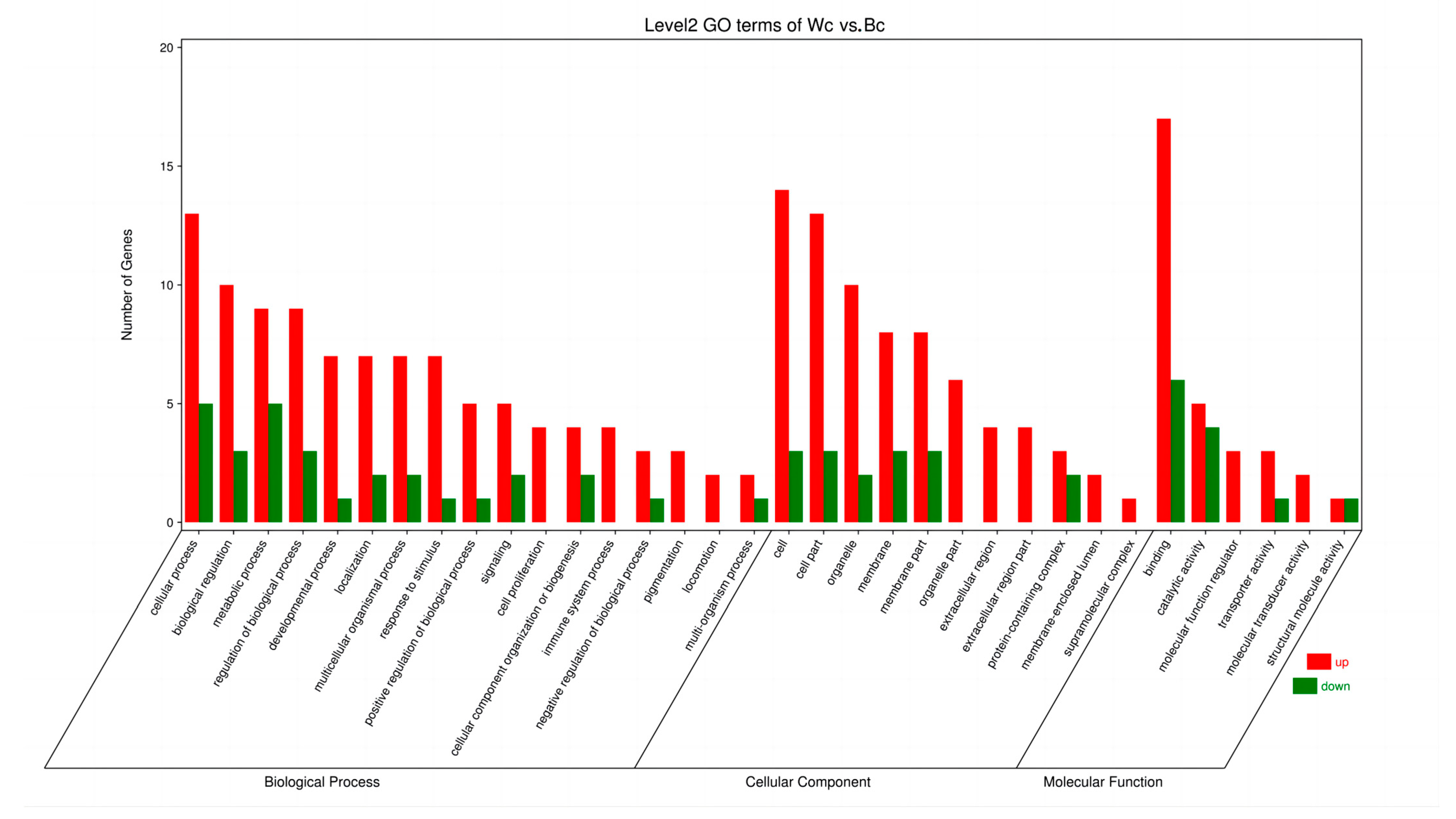 Vetsci 10 00341 g004