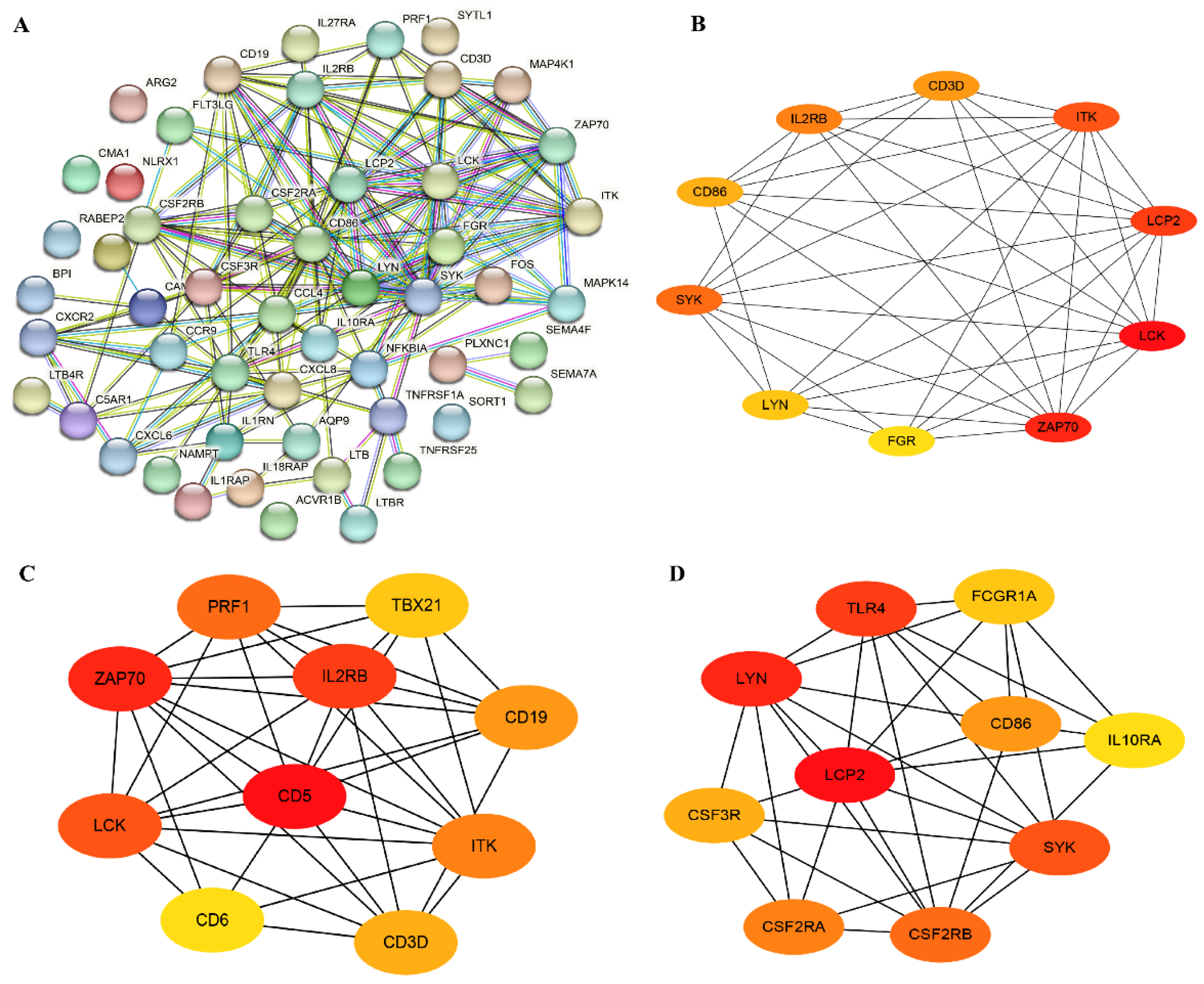 Vetsci 10 00345 g005 Vetsci 10 00345 g005