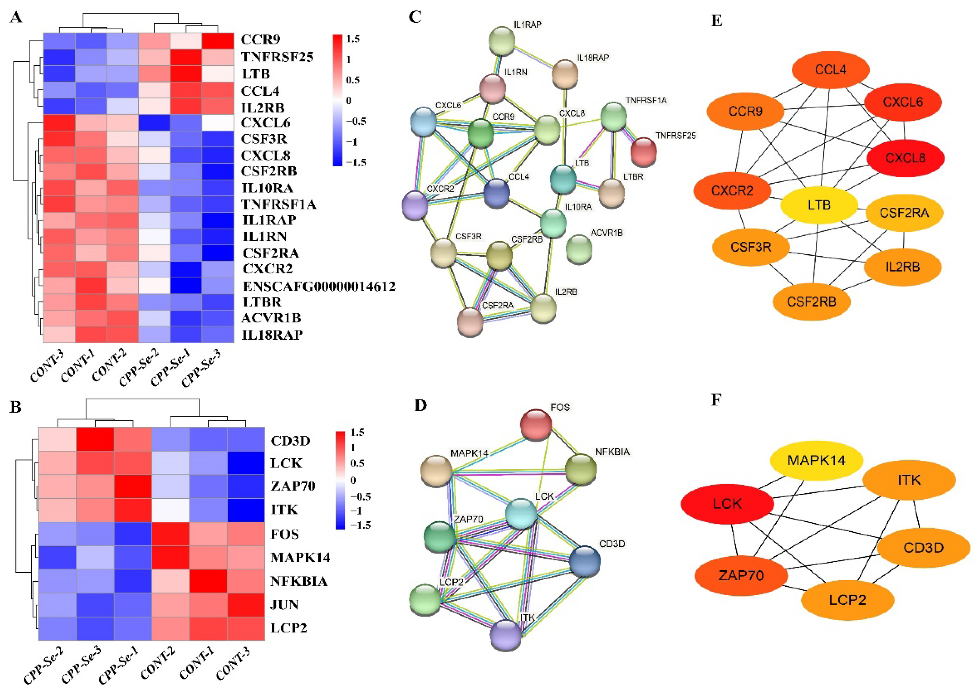Vetsci 10 00345 g006 Vetsci 10 00345 g006