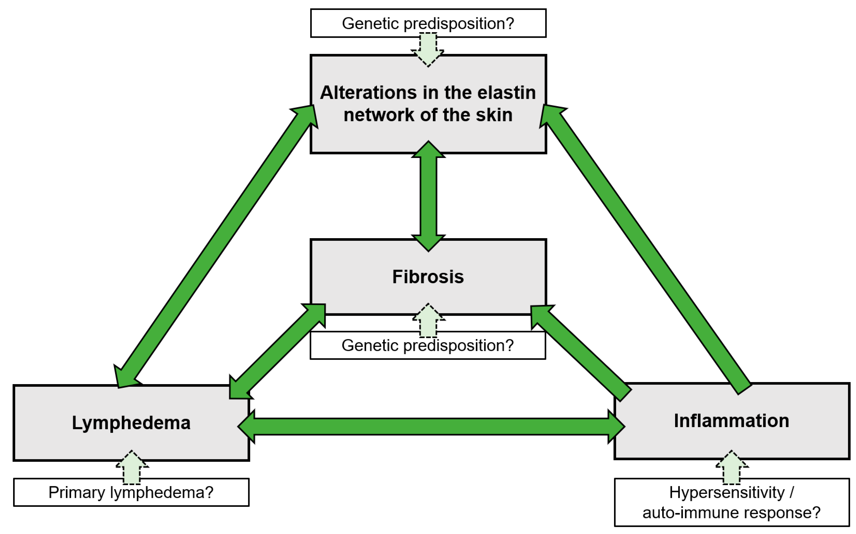 Vetsci 10 00347 g002