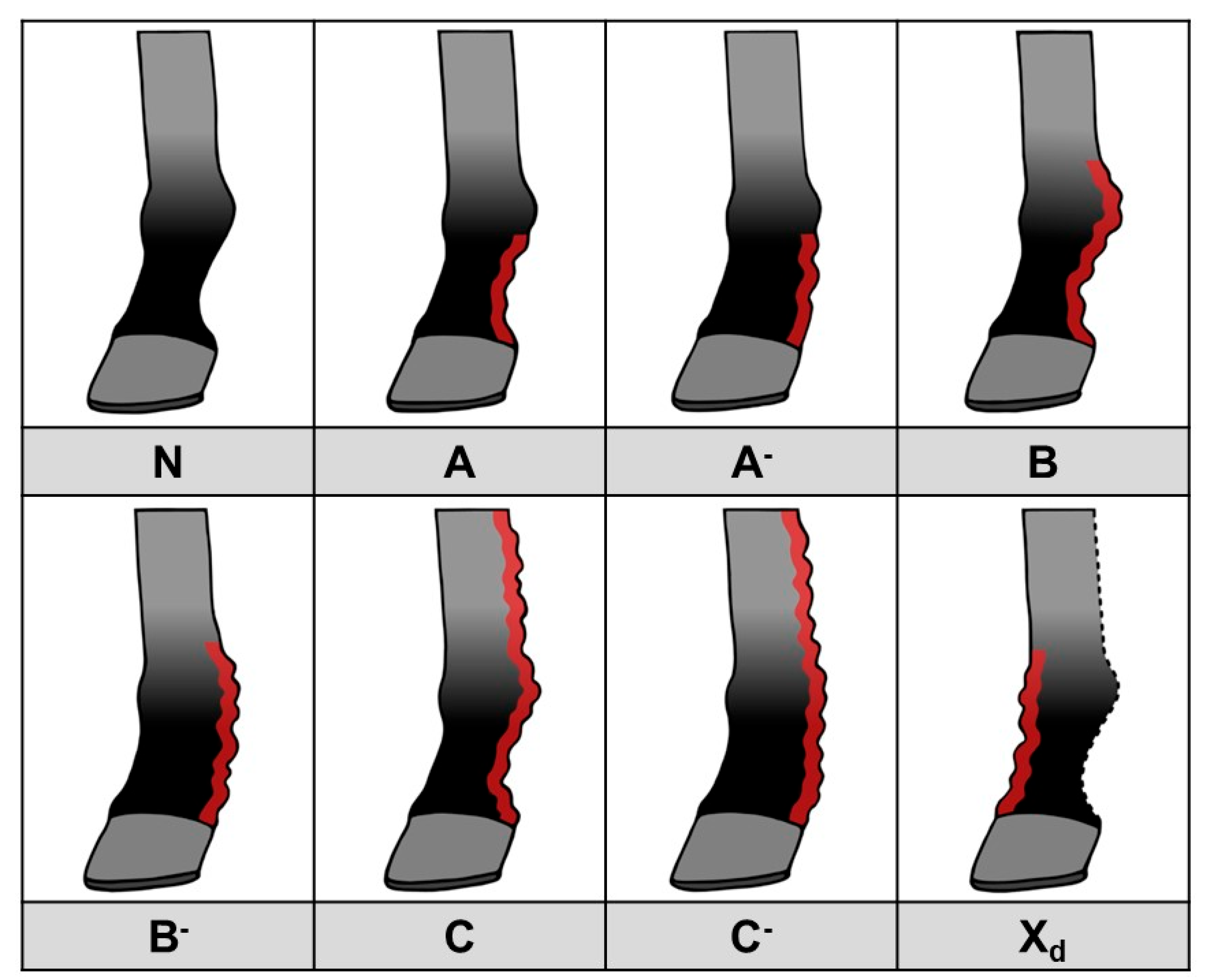 Vetsci 10 00347 g014