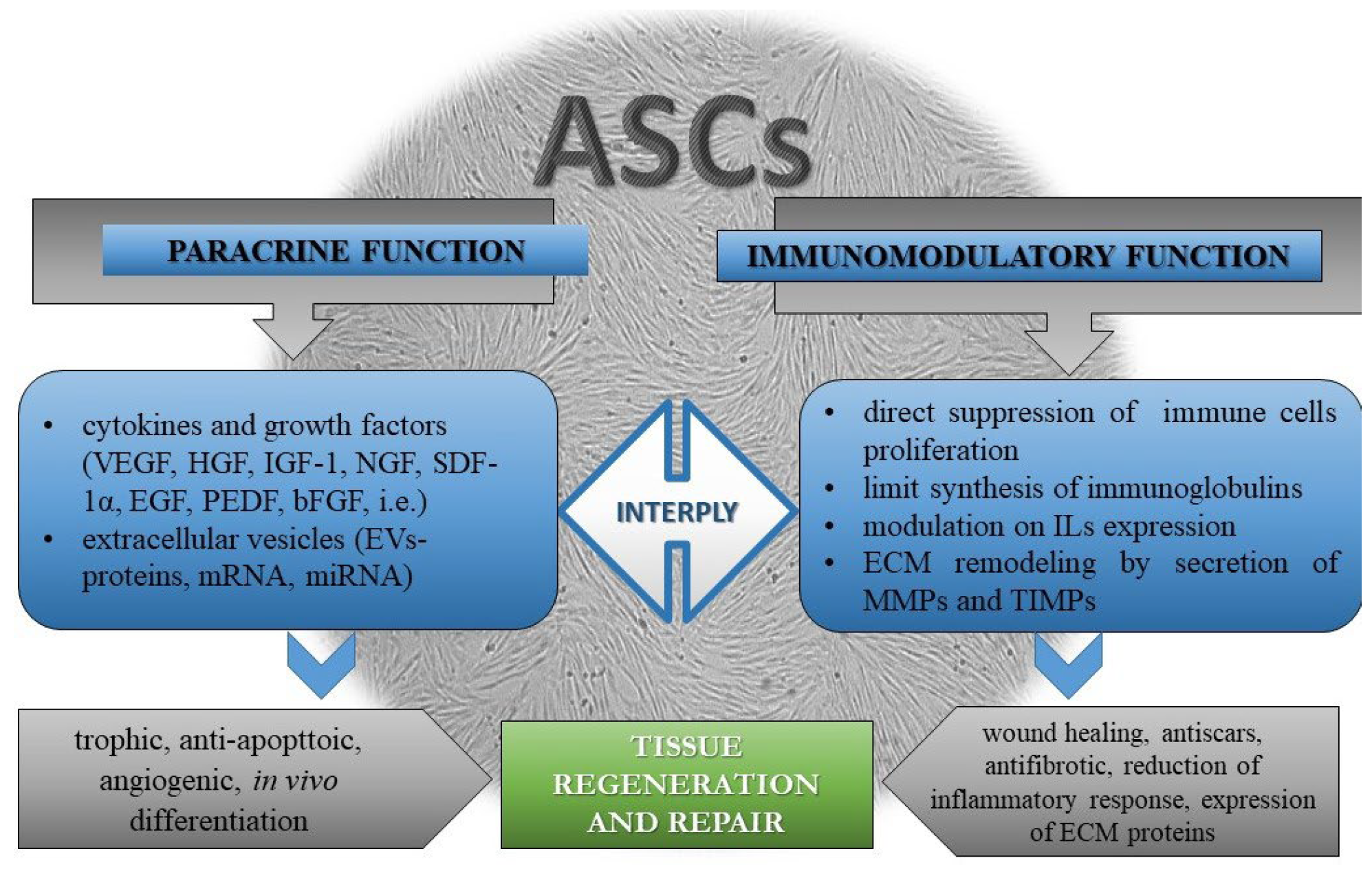 Vetsci 10 00348 g003 Vetsci 10 00348 g003