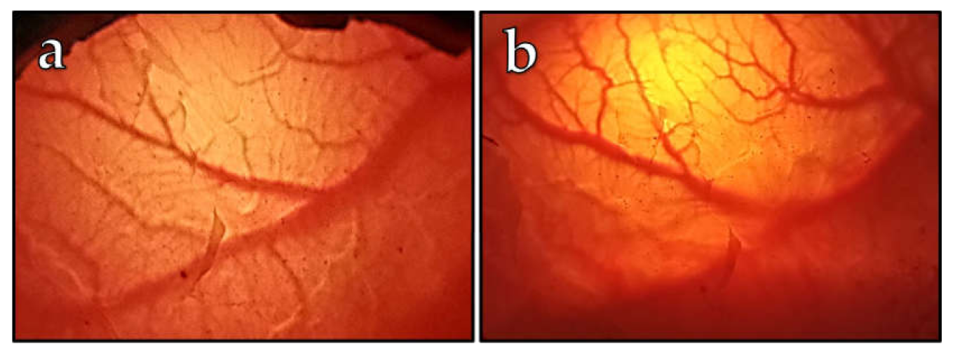 Vetsci 10 00349 g001