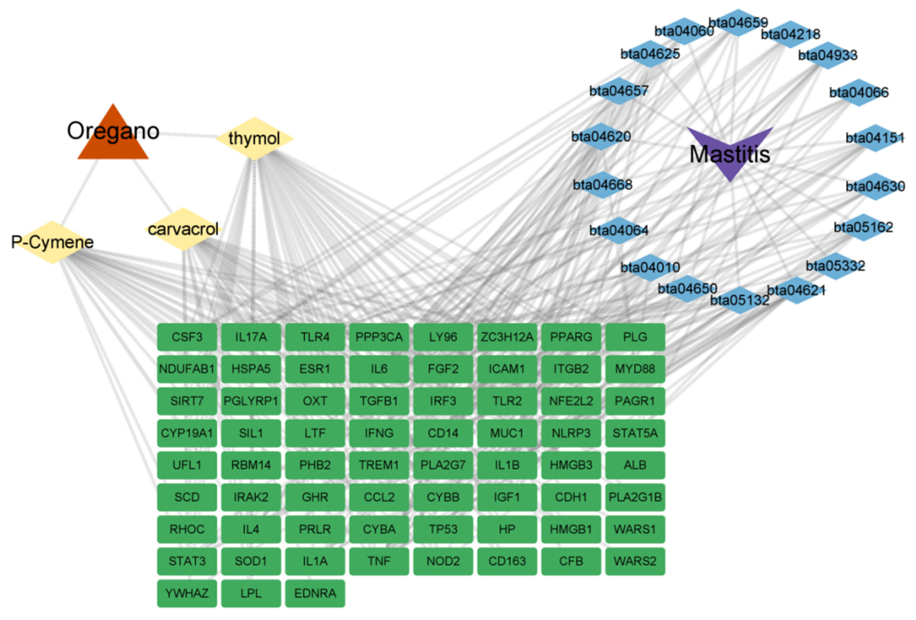 Vetsci 10 00350 g006