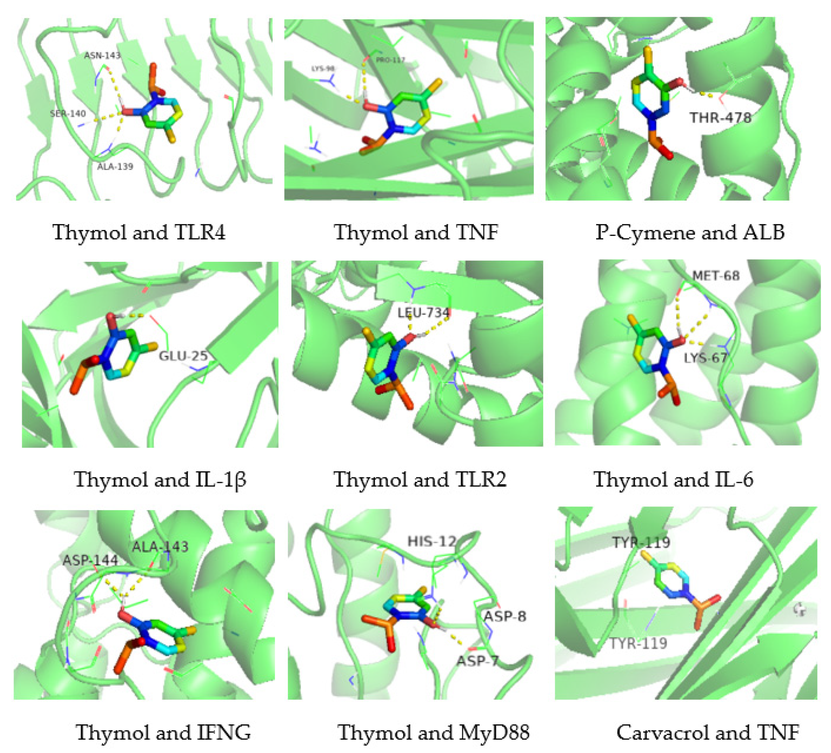 Vetsci 10 00350 g007