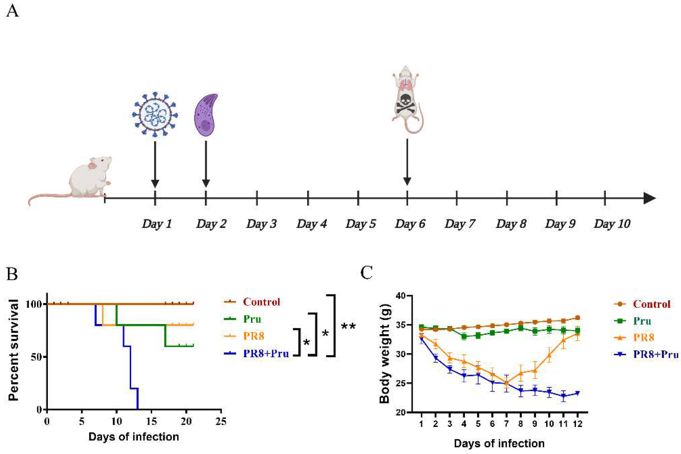 Vetsci 10 00354 g001
