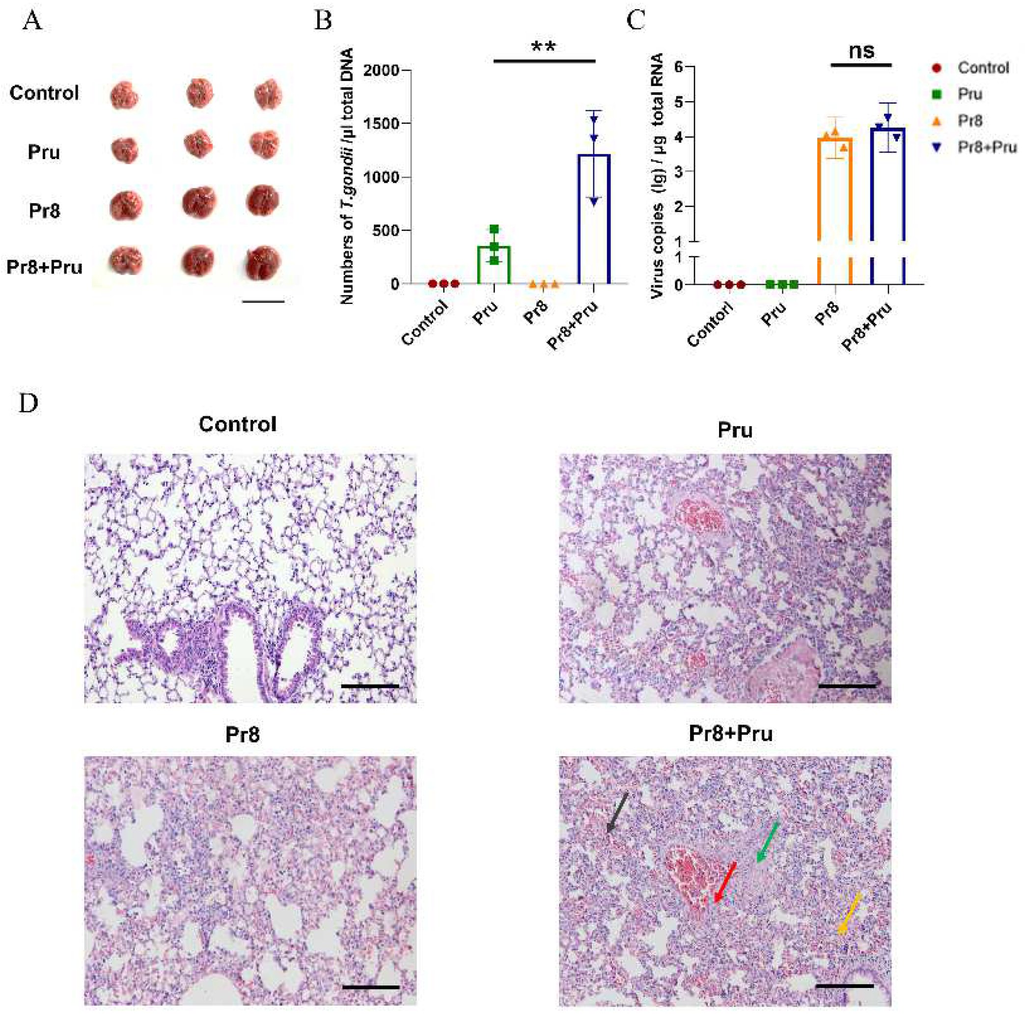 Vetsci 10 00354 g002