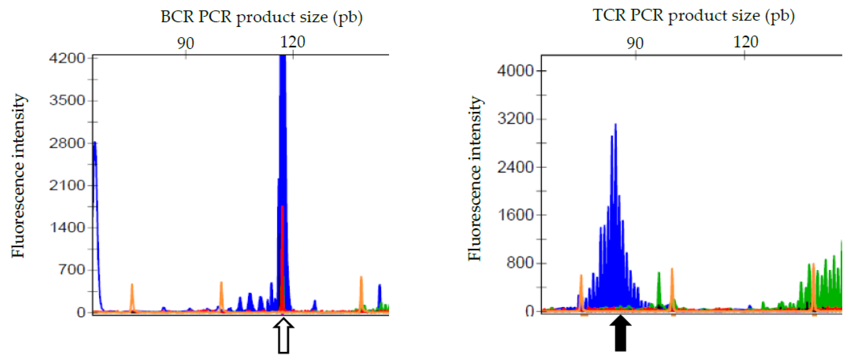 Vetsci 10 00355 g004