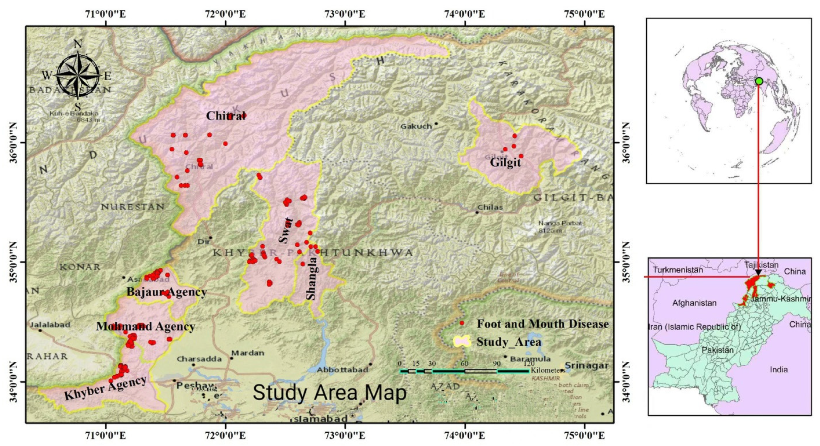 Vetsci 10 00356 g001