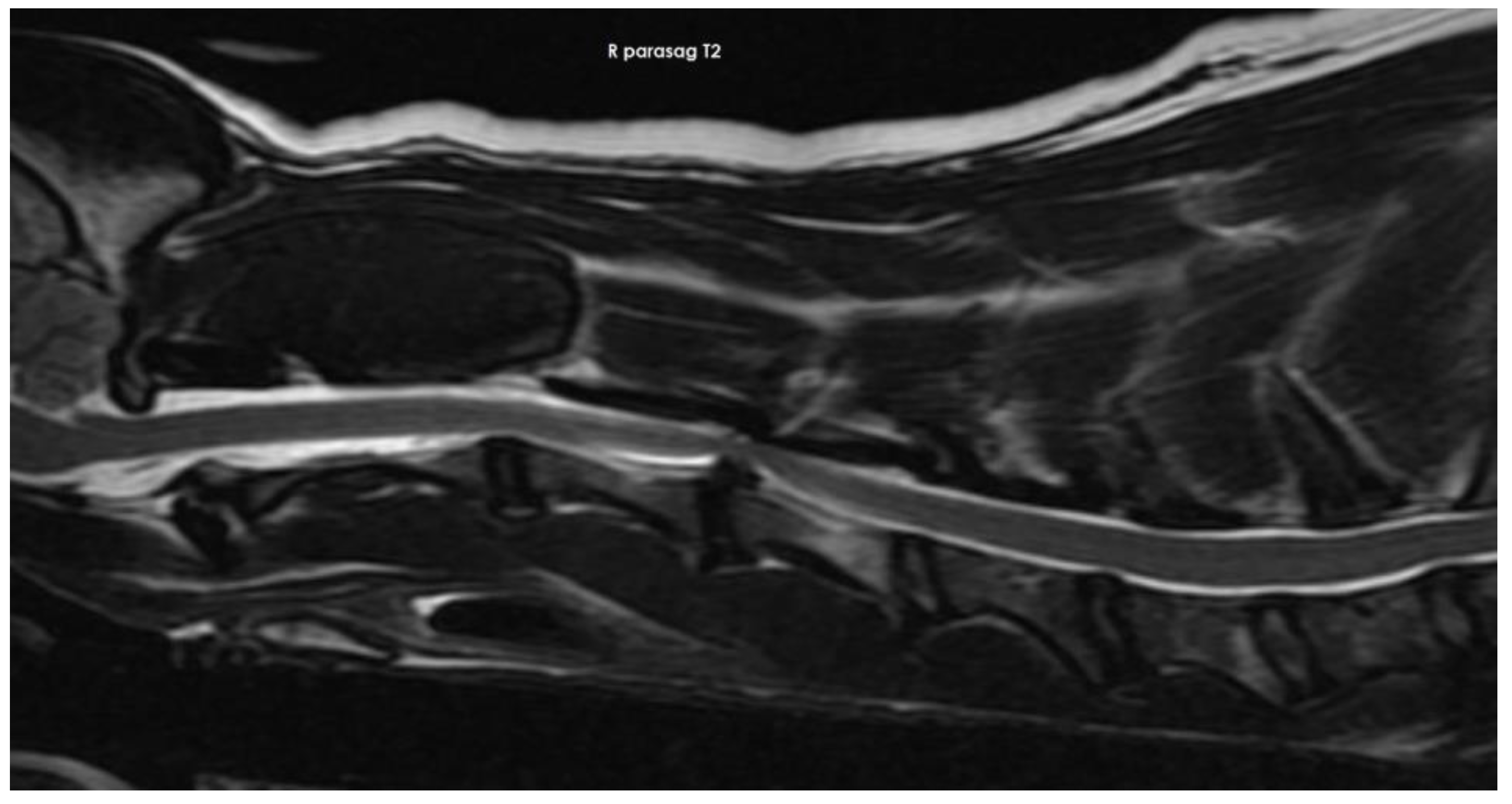 Vetsci 10 00359 g004