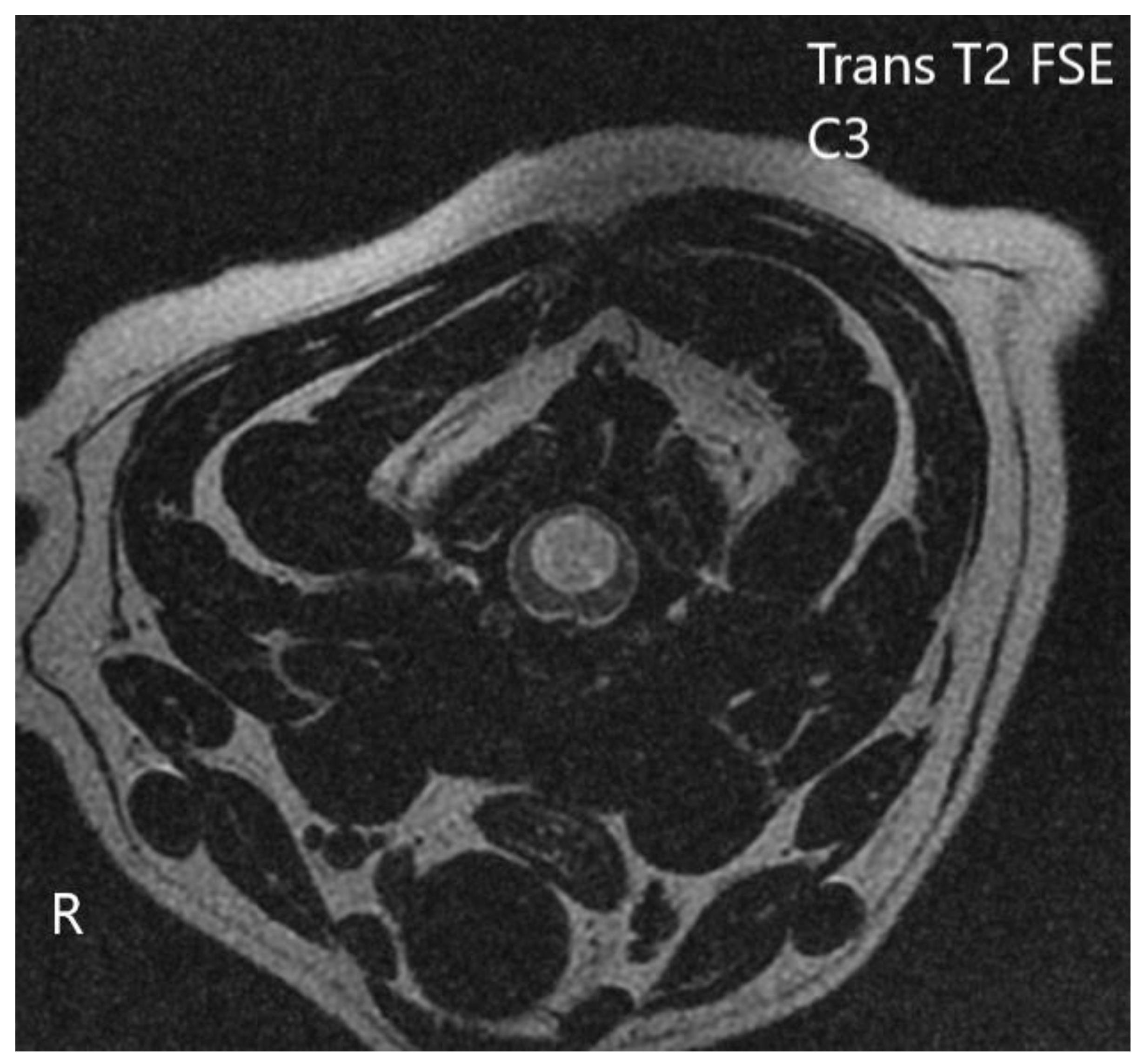 Vetsci 10 00359 g005