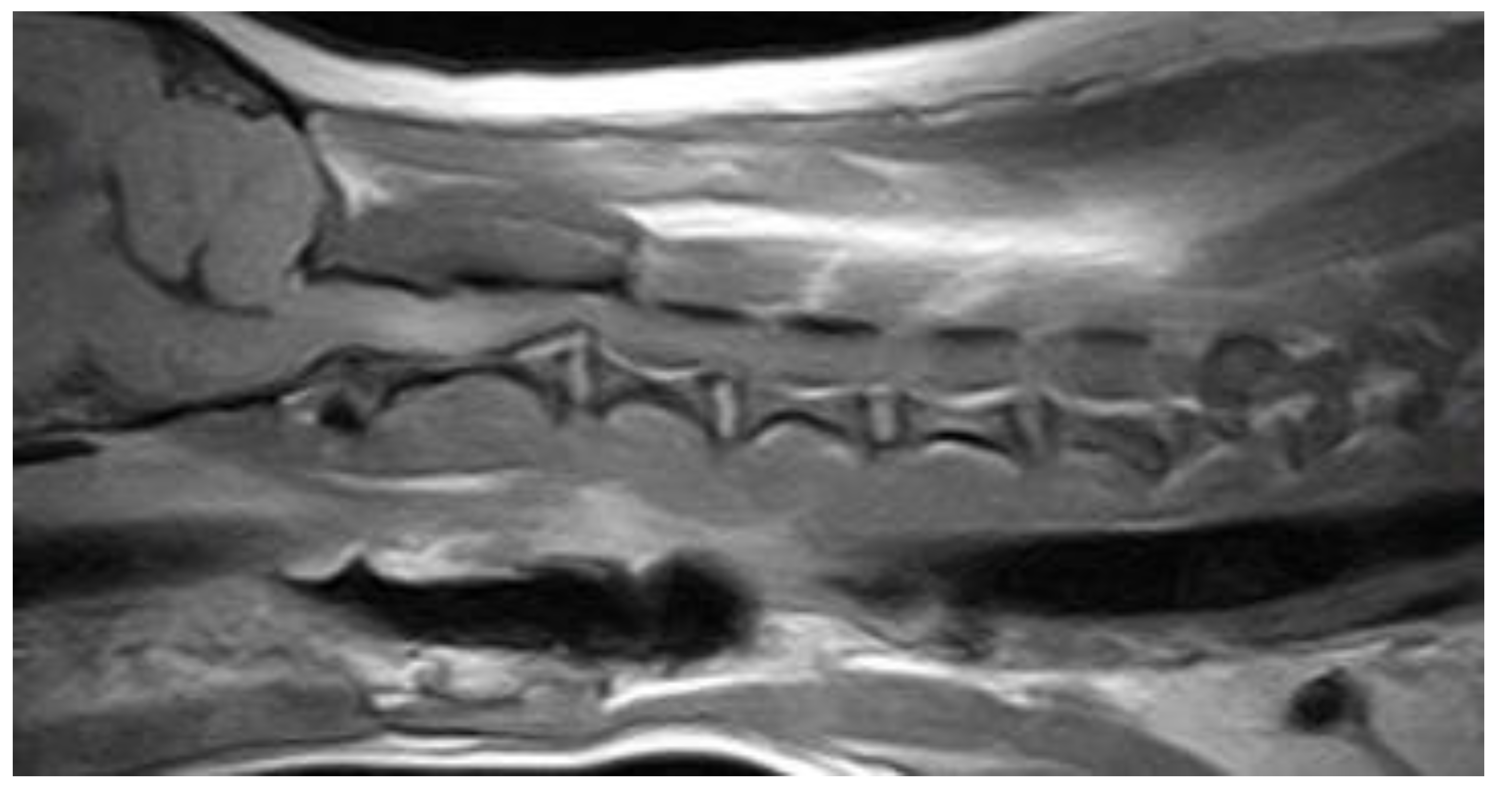 Vetsci 10 00359 g006