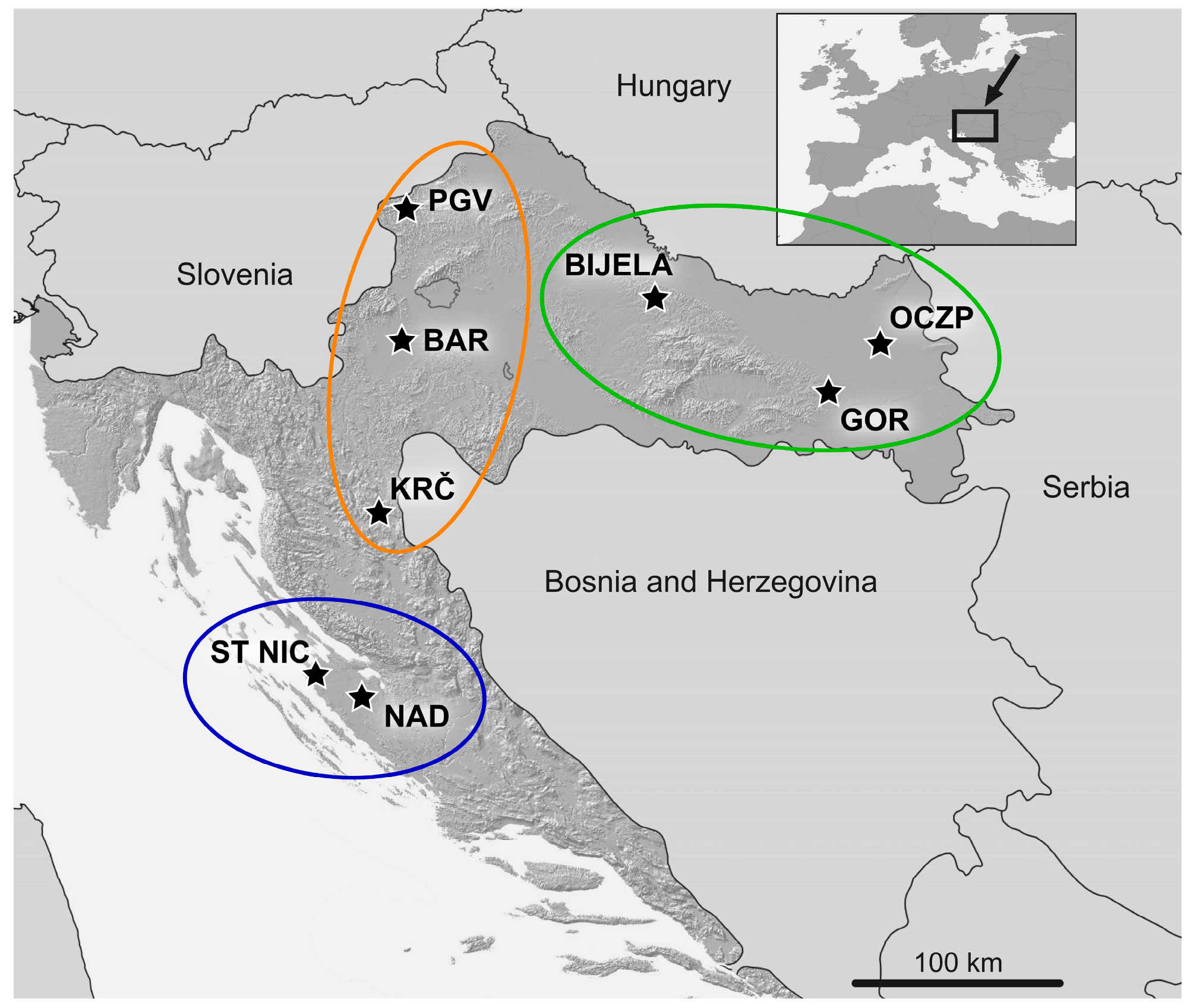 Vetsci 10 00361 g001