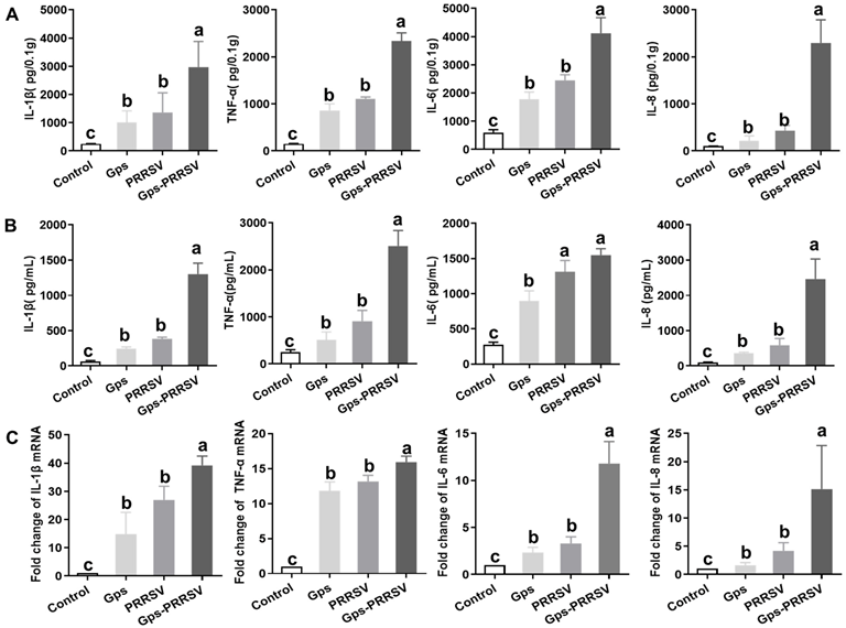 Vetsci 10 00365 g005