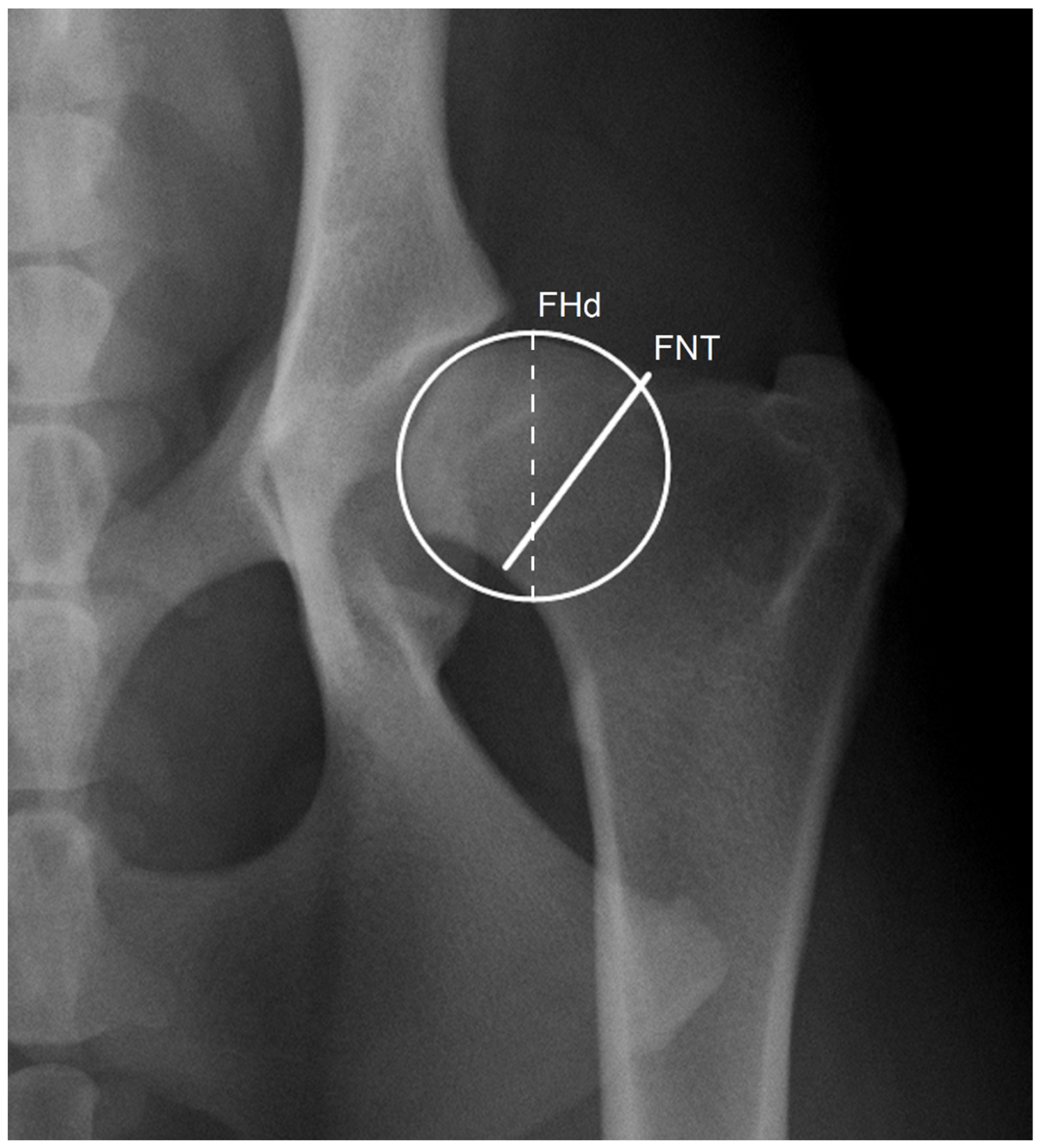 Vetsci 10 00371 g001