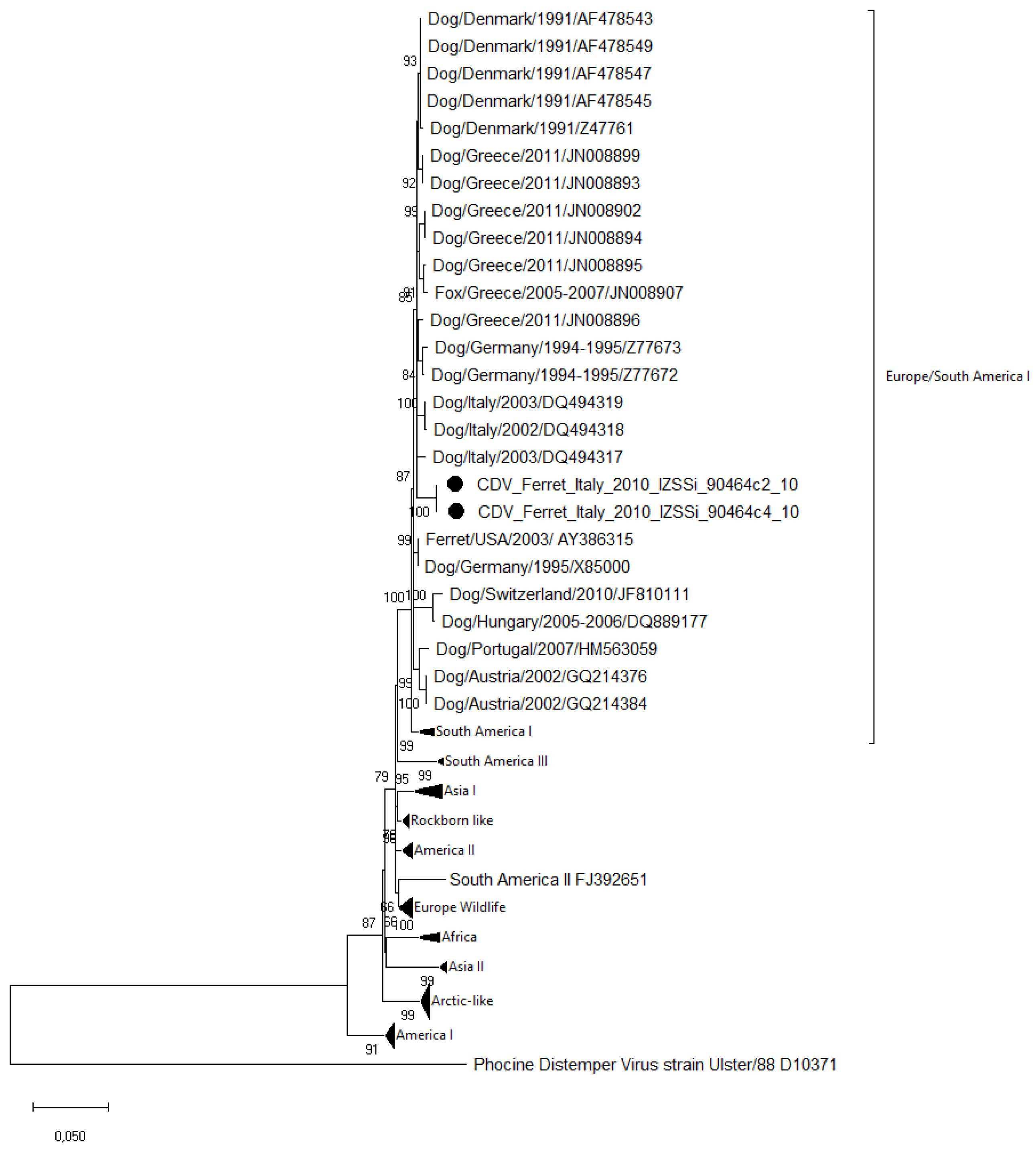 Vetsci 10 00375 g001
