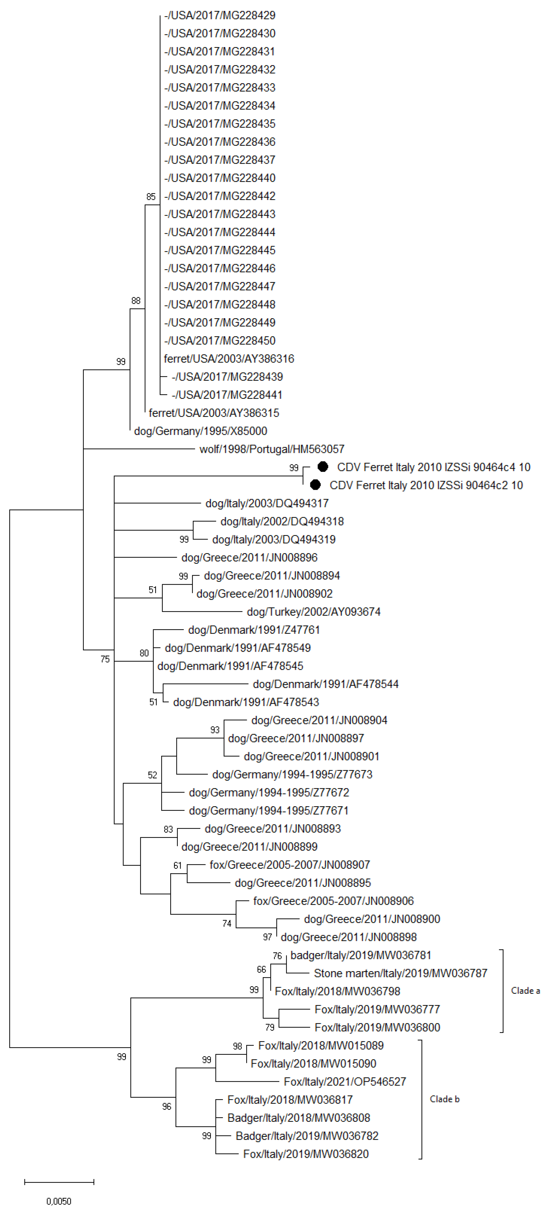 Vetsci 10 00375 g002