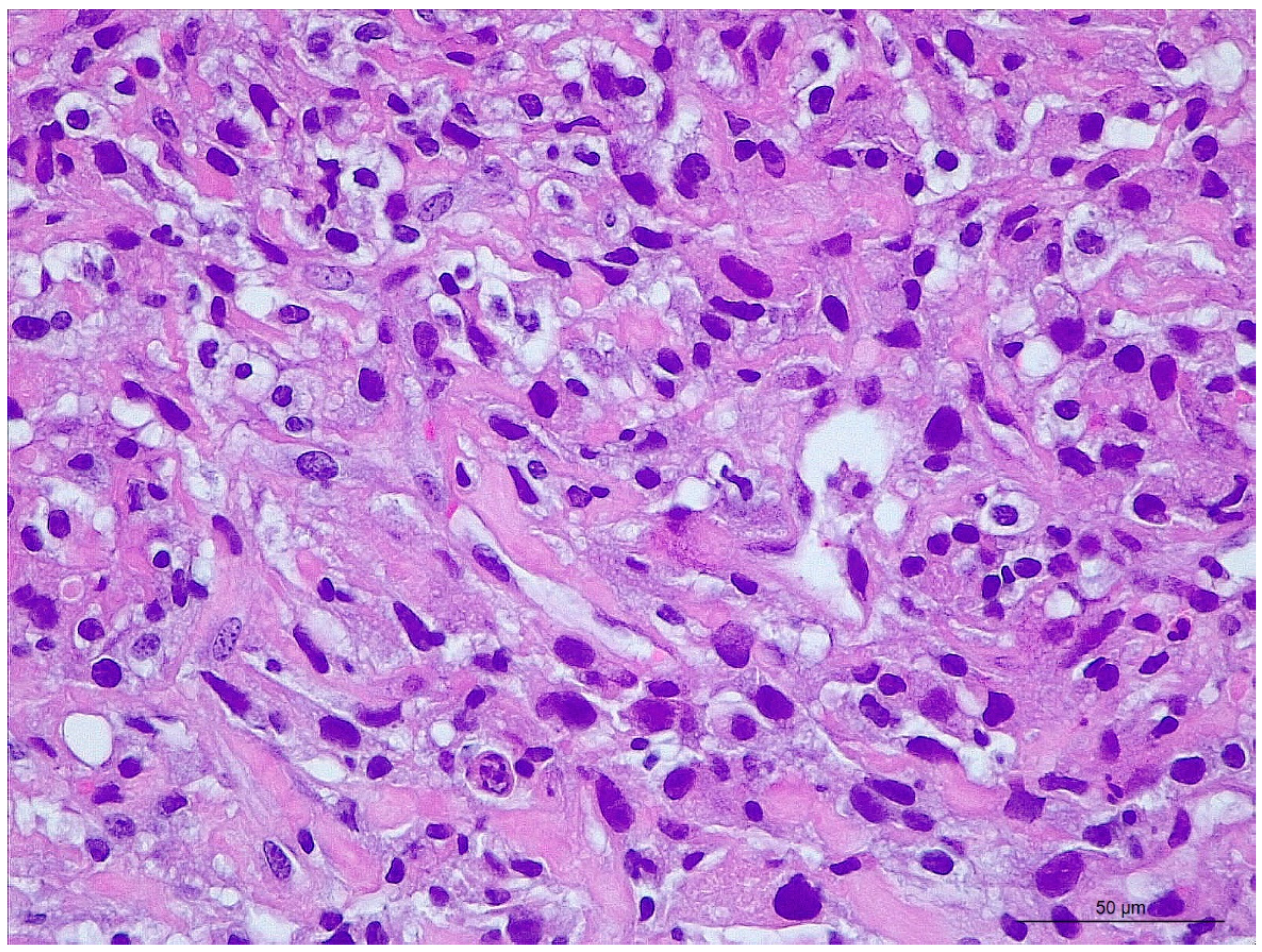 Vetsci 10 00376 g002