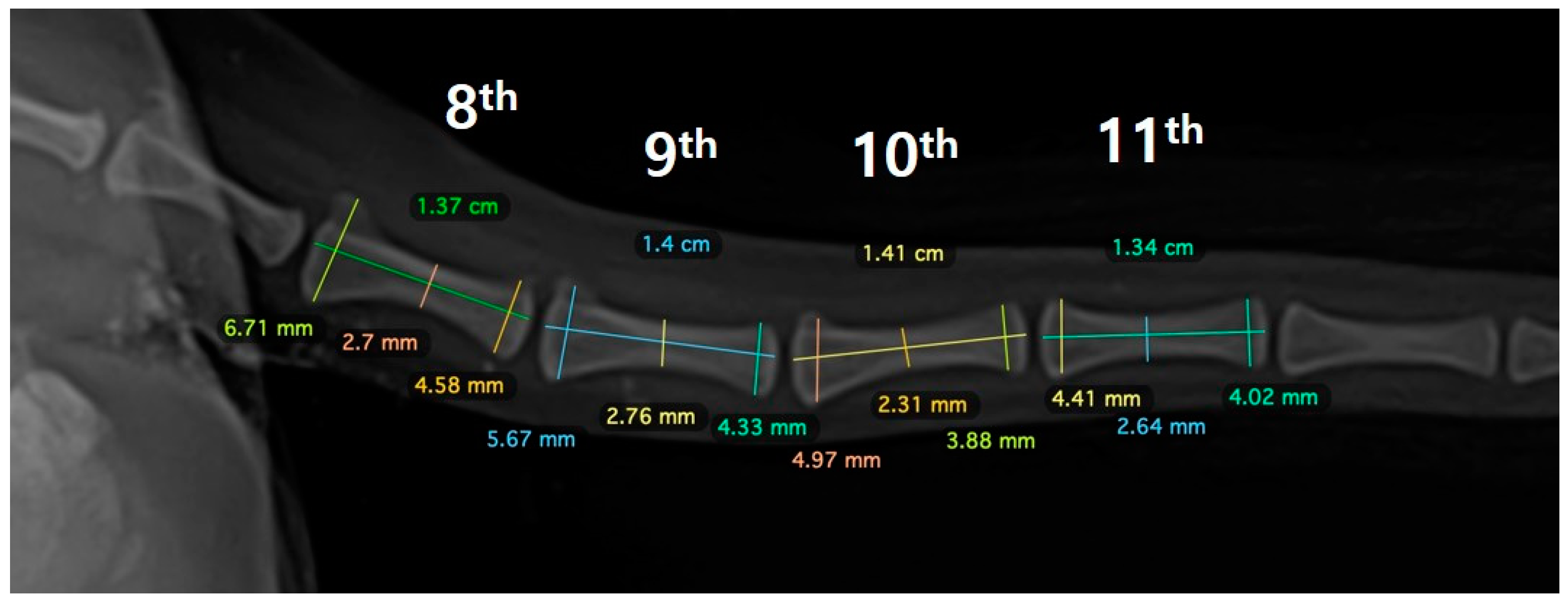 Vetsci 10 00388 g002