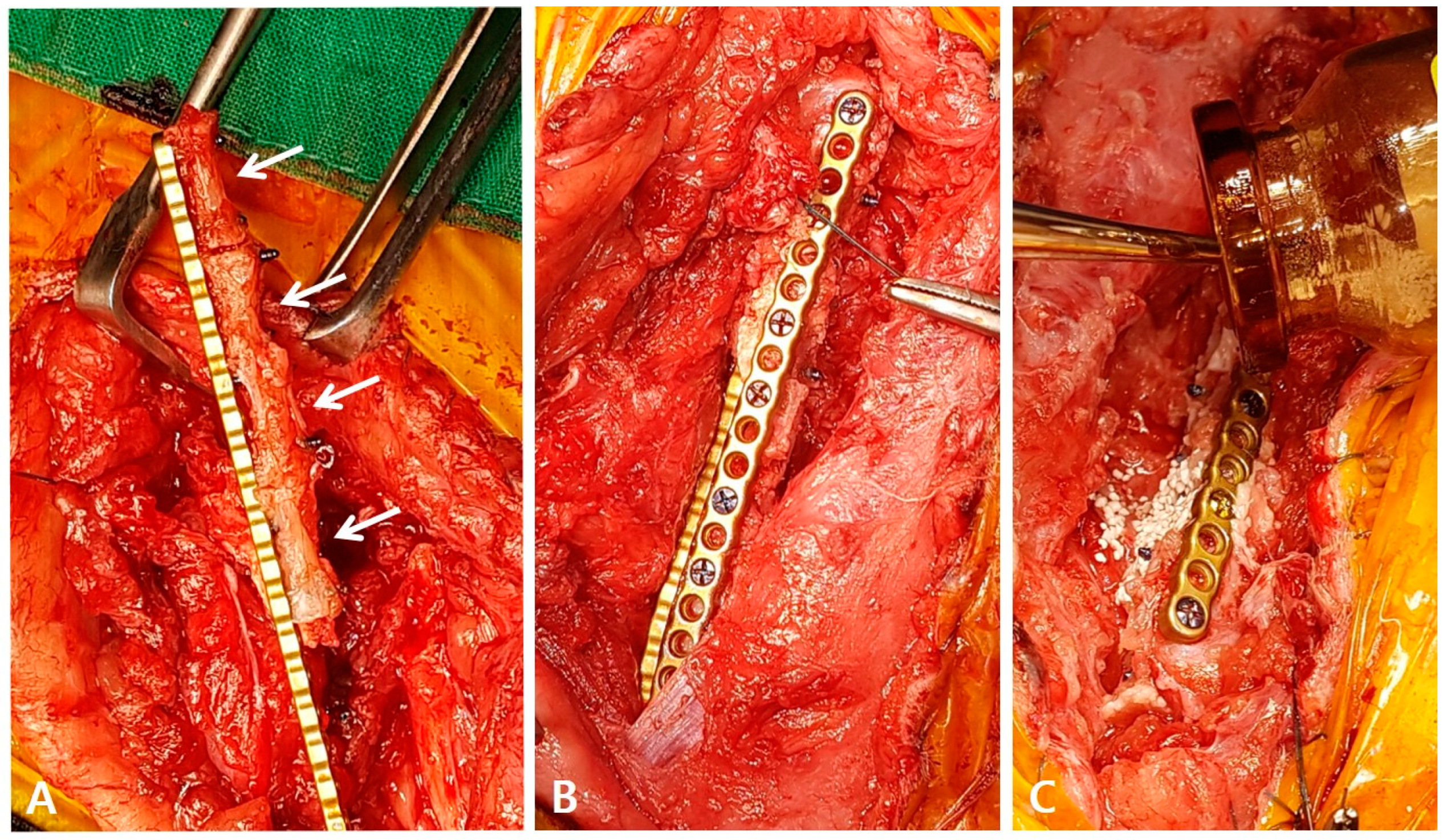 Vetsci 10 00388 g003