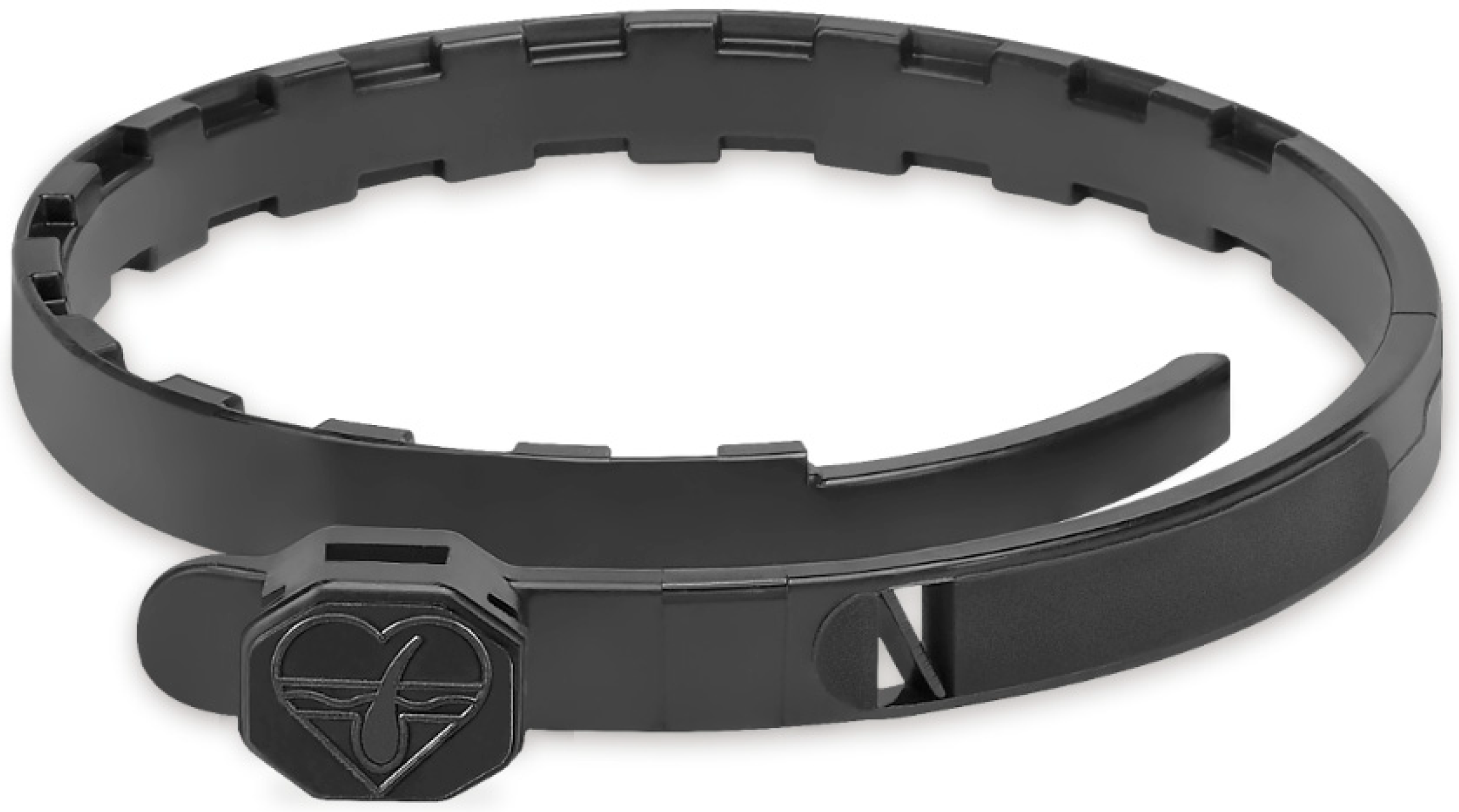 Vetsci 10 00389 g001