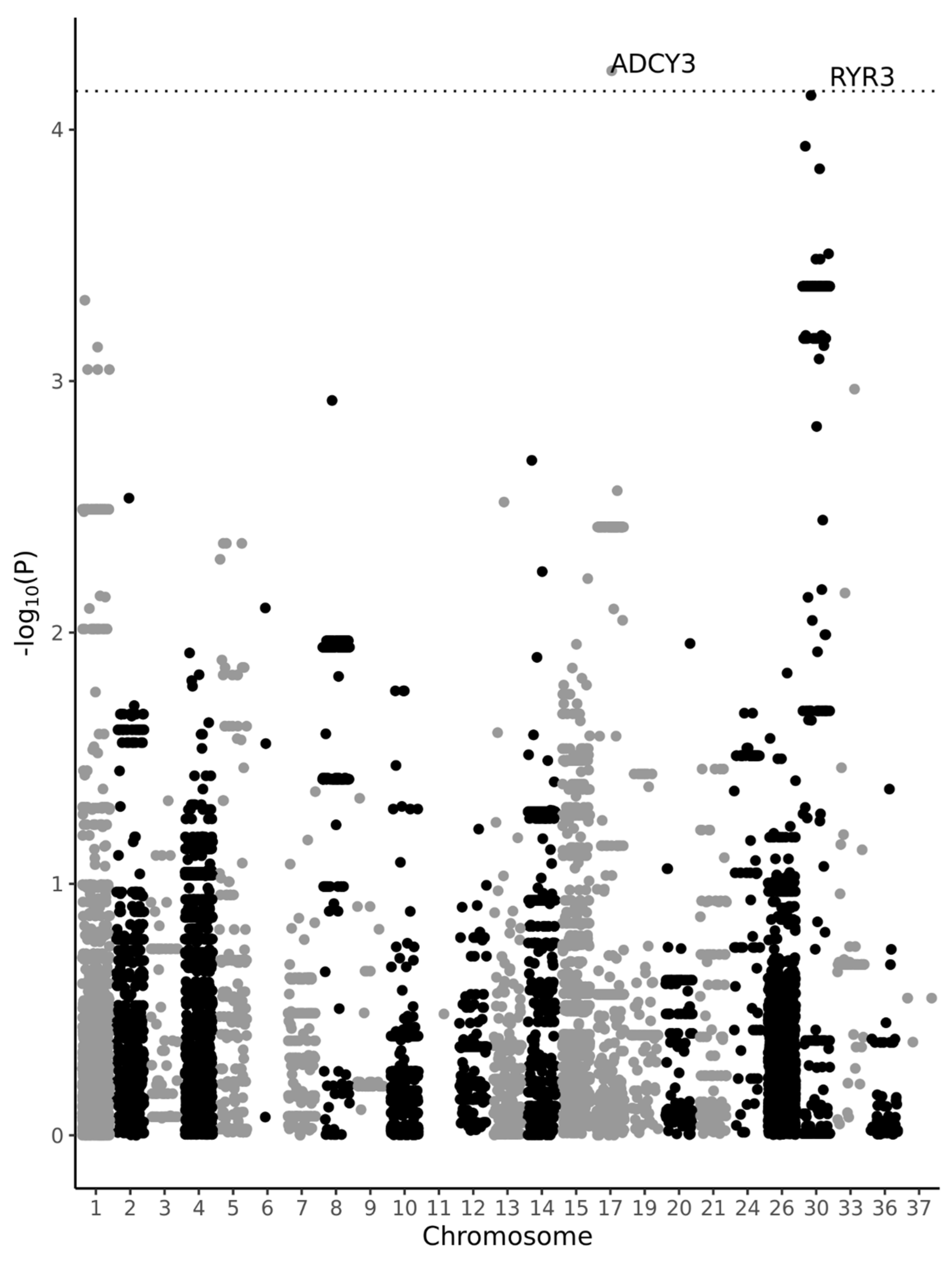 Vetsci 10 00390 g001 Vetsci 10 00390 g001