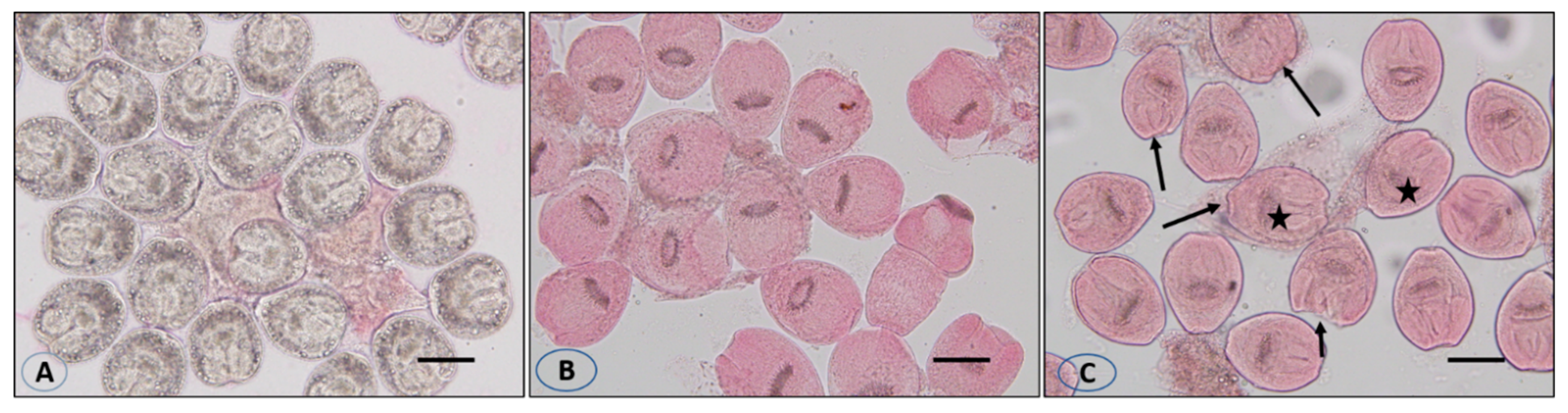 Vetsci 10 00400 g005 Vetsci 10 00400 g005