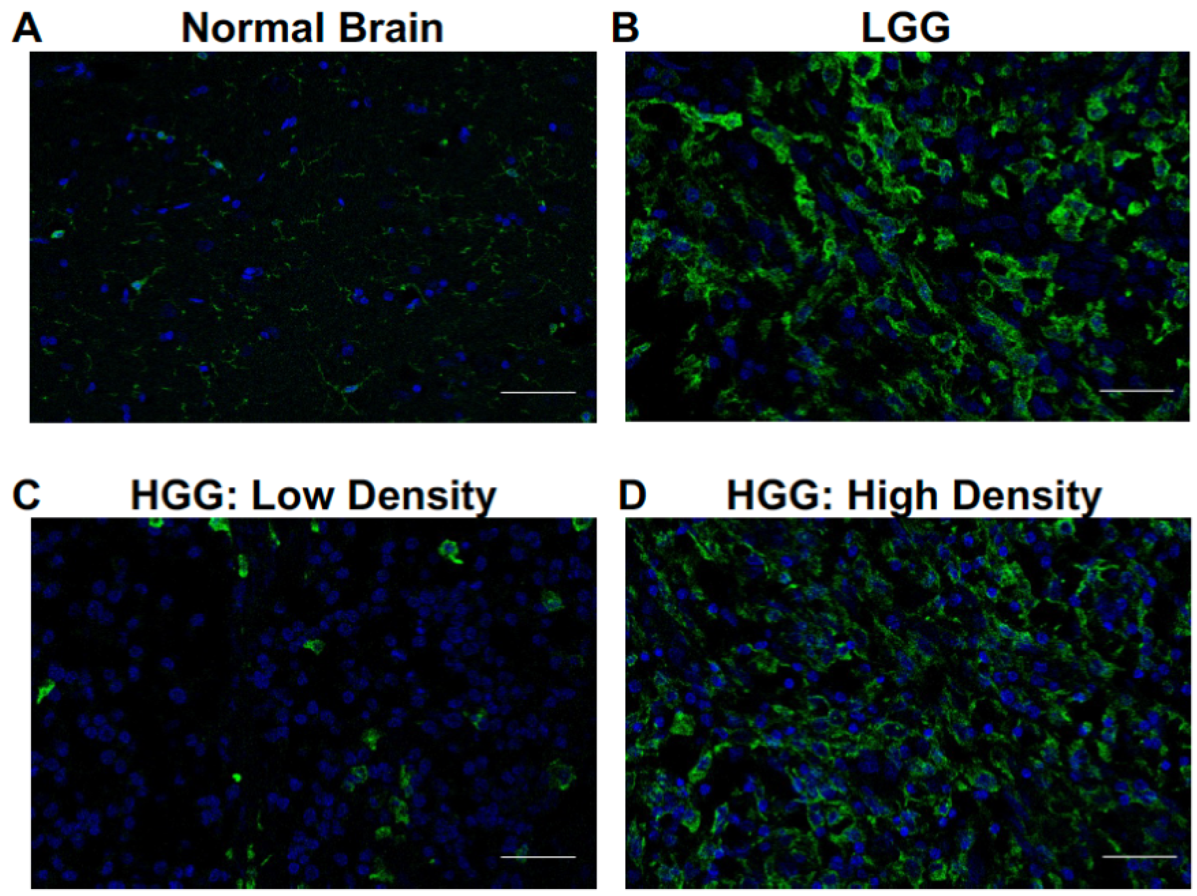 Vetsci 10 00403 g001