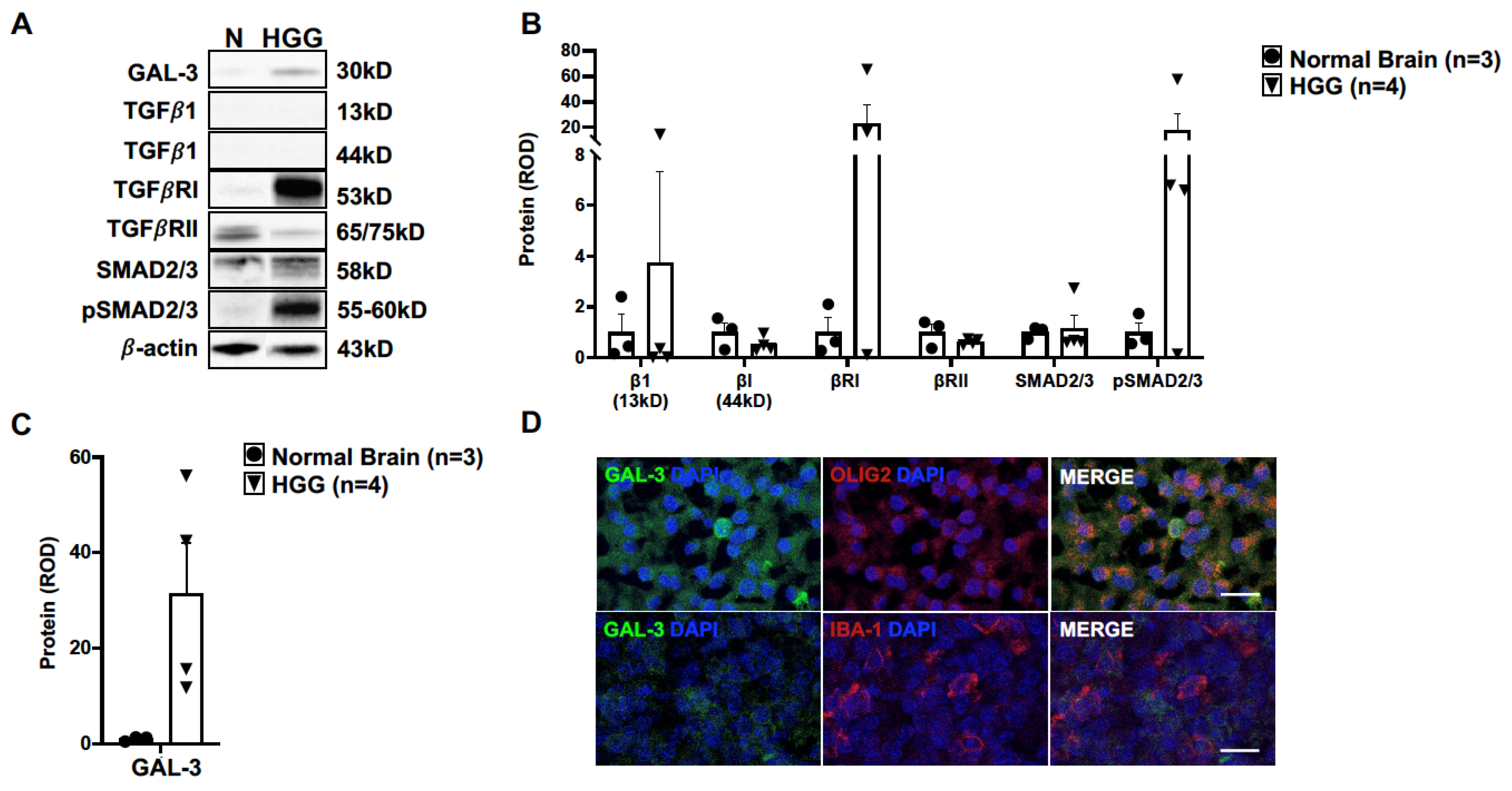 Vetsci 10 00403 g005