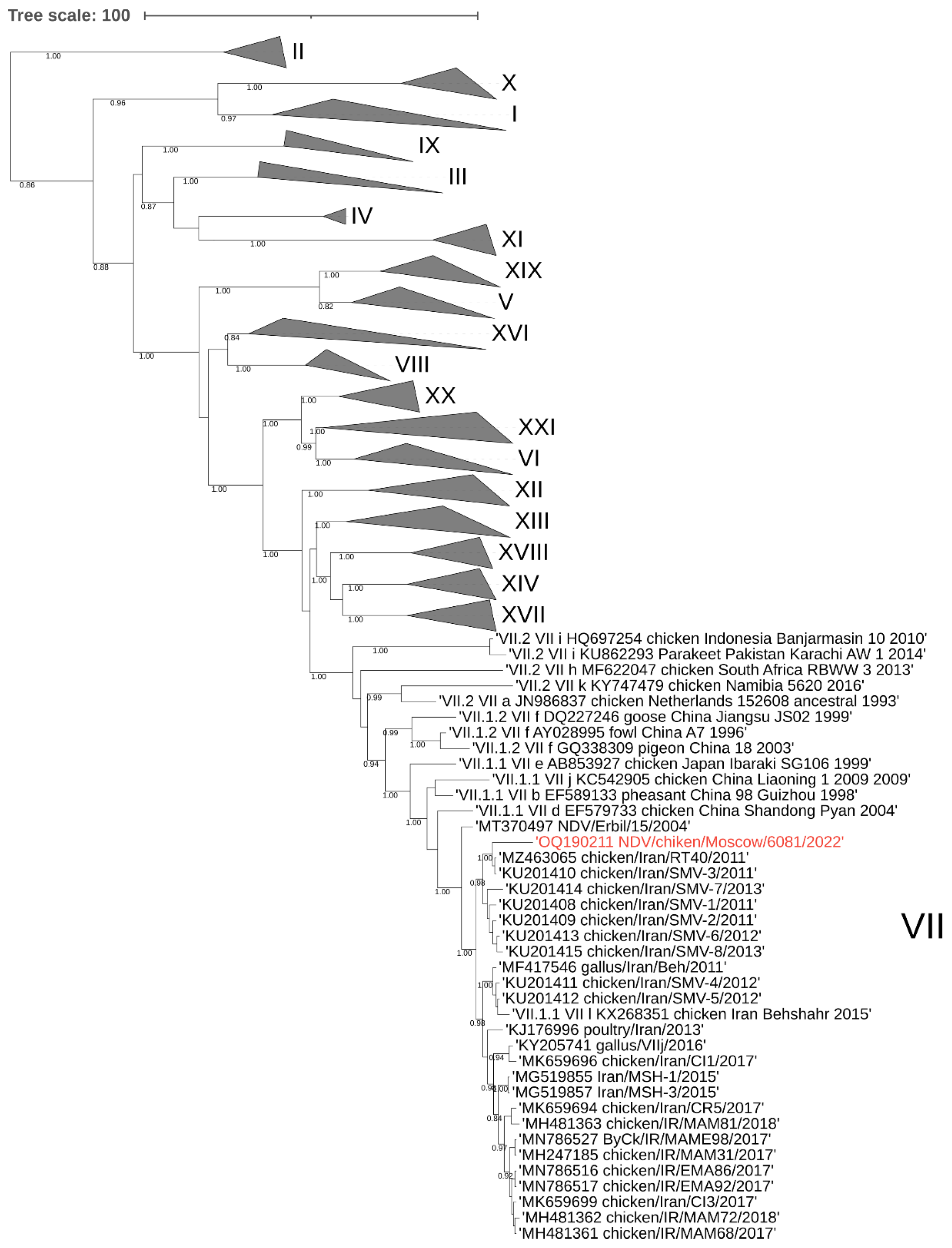 Vetsci 10 00404 g002