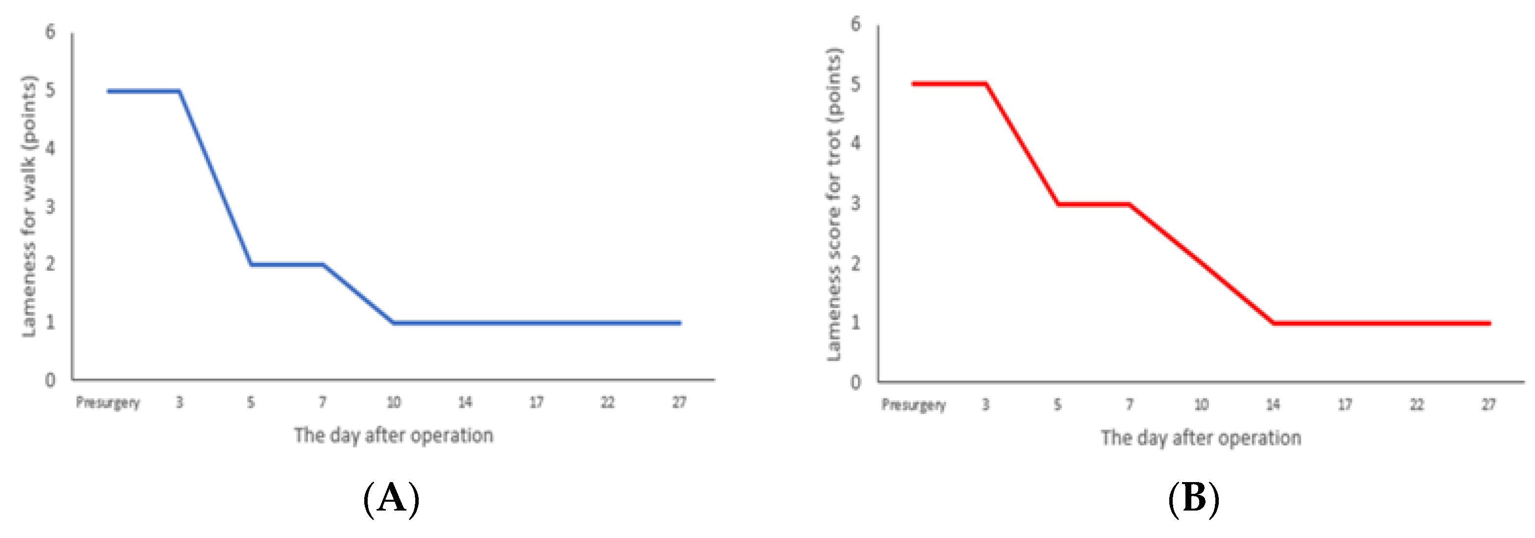 Vetsci 10 00407 g005